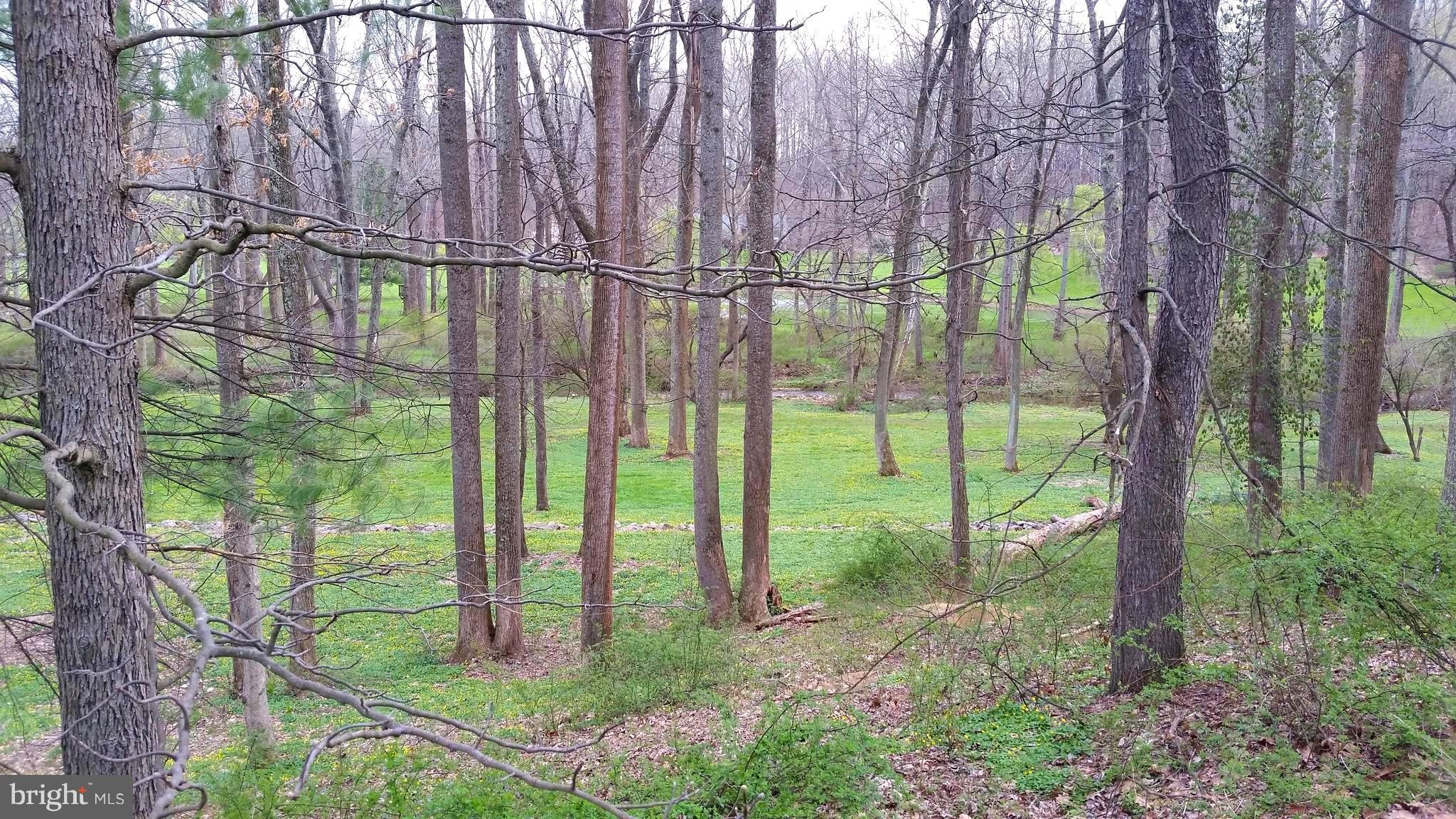 WORTHINGTON VALLEY - Farm