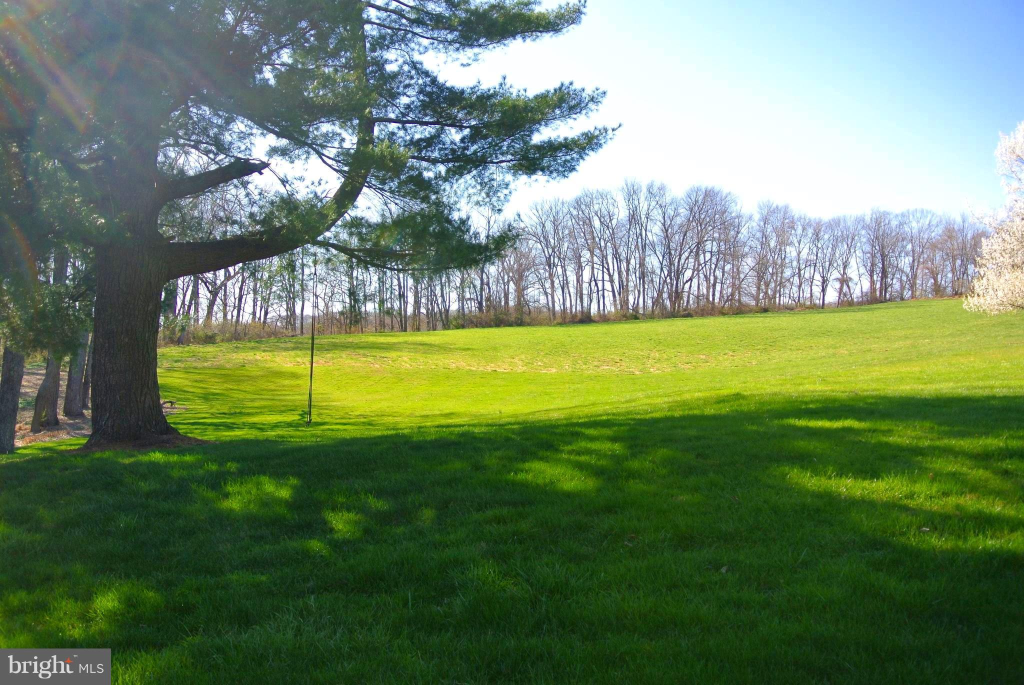 WORTHINGTON VALLEY - Farm