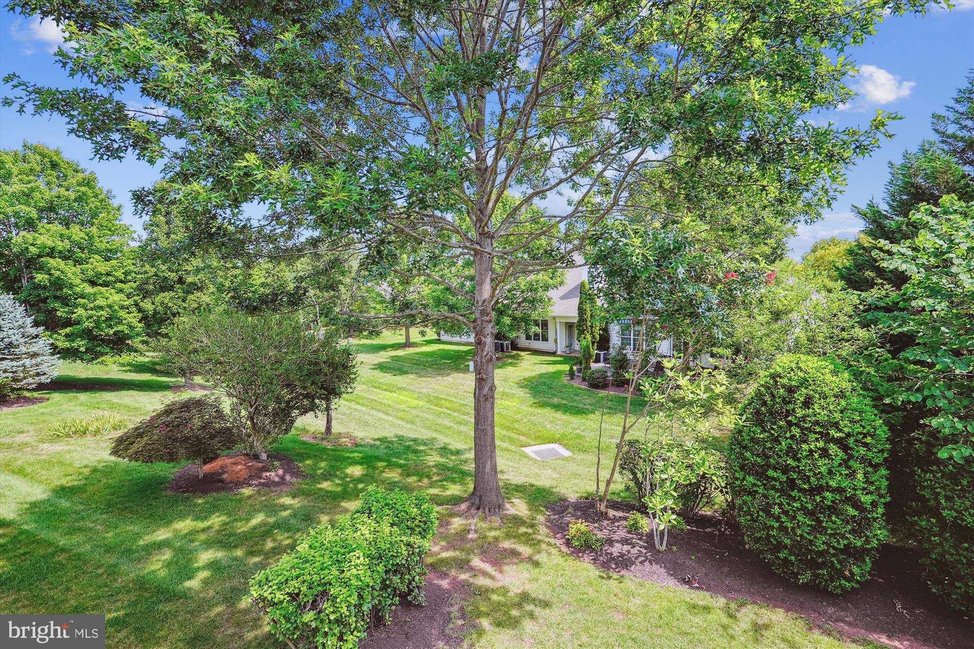 REGENCY AT DOMINION VALLEY - Residential