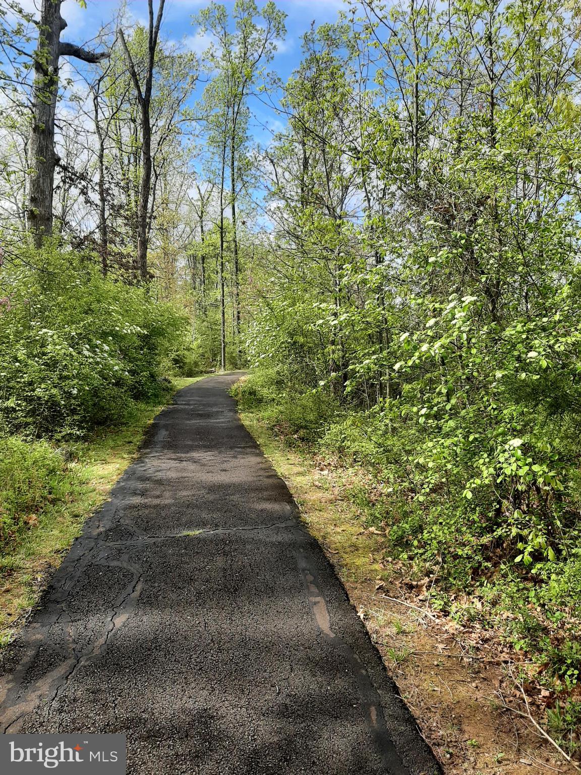 REGENCY AT DOMINION VALLEY - Residential