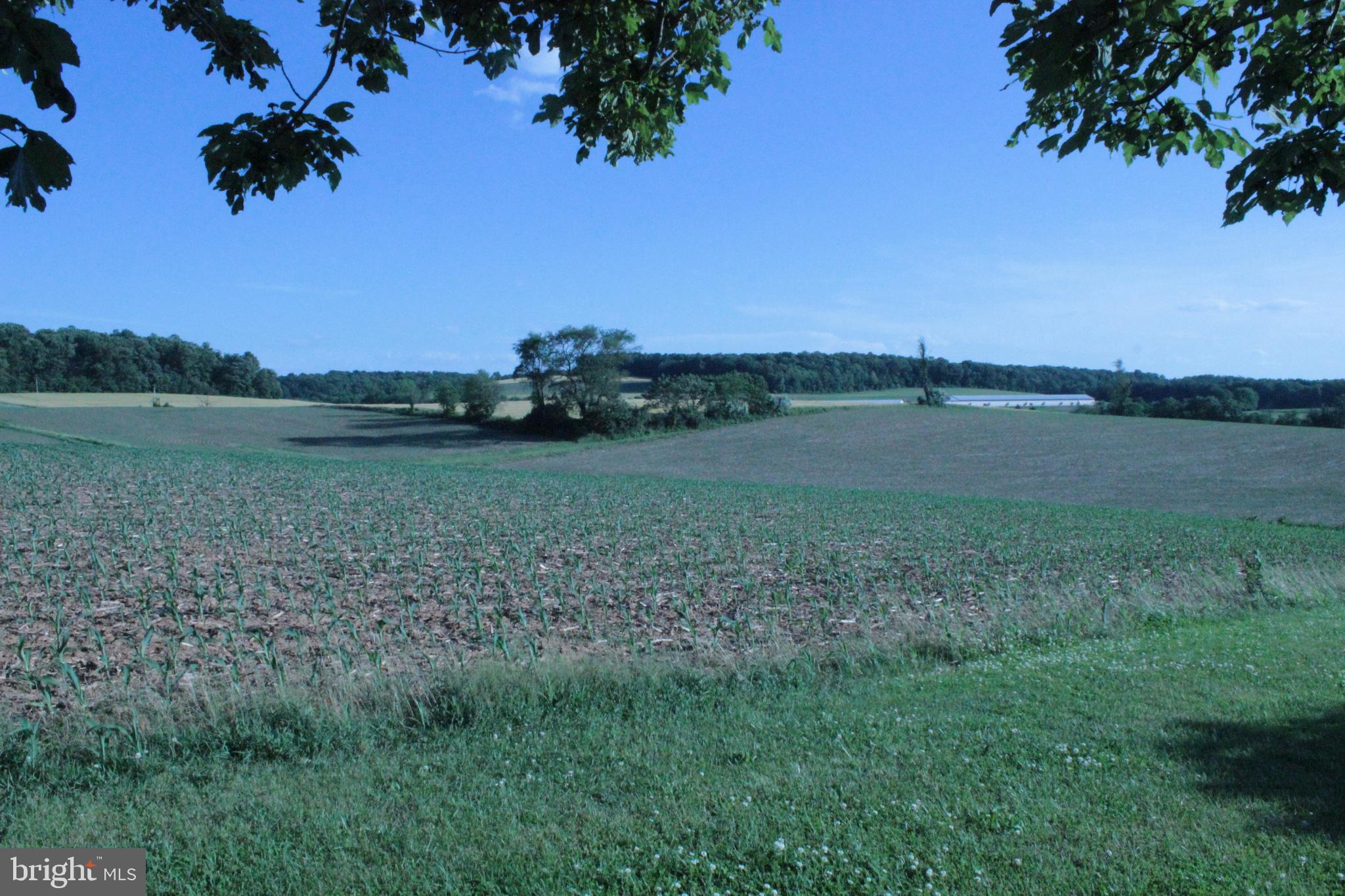 CODORUS - Residential