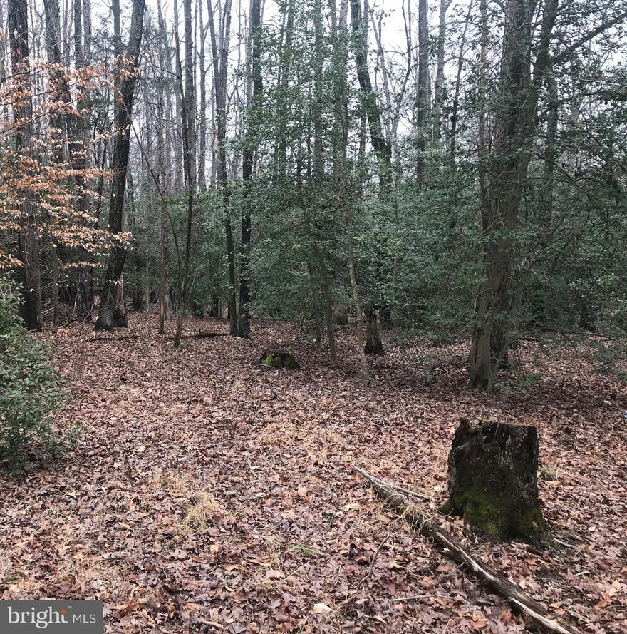 LOCATION, LOCATION, LOCATION!  It doesn't get any better!  Off Middletown road and Lyles Place.  Wooded.  Spacious.  Seller believes lot is sub dividable.  Electric runs to property.  Public water and sewer runs along Middletown Road (please confirm).    Its mostly wooded. A small portion along Lyles Place has been used for unauthorized dumping.  Property is being "SOLD AS IS".  The right of way that accesses Middletown Road is directly across from Lexington (the Light).

BUYER & BUYER'S AGENT ARE ACCOUNTABLE FOR PERFORMING THEIR OWN DUE DILIGENCE BY VERIFYING ALL FACTS, FIGURES, MEASUREMENTS, SCHOOLS, SQUARE FOOTAGE, HOA RELATED FEES, TAXES, PLUS ANY & ALL MATERIAL FACTS IMPORTANT TO BUYER .