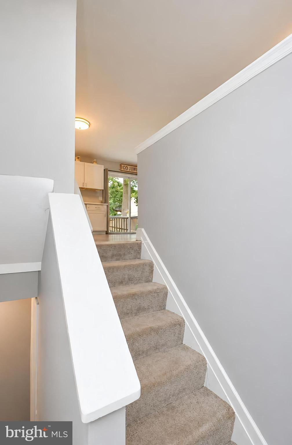 505 SAINT CHARLES STREET