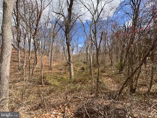 HAMPSTEAD MEXICO ROAD