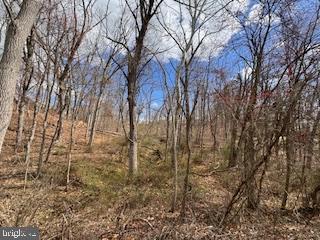 HAMPSTEAD MEXICO ROAD