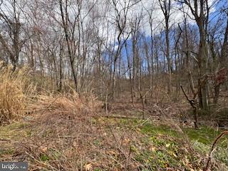 HAMPSTEAD MEXICO ROAD