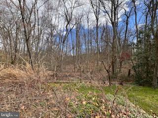 HAMPSTEAD MEXICO ROAD