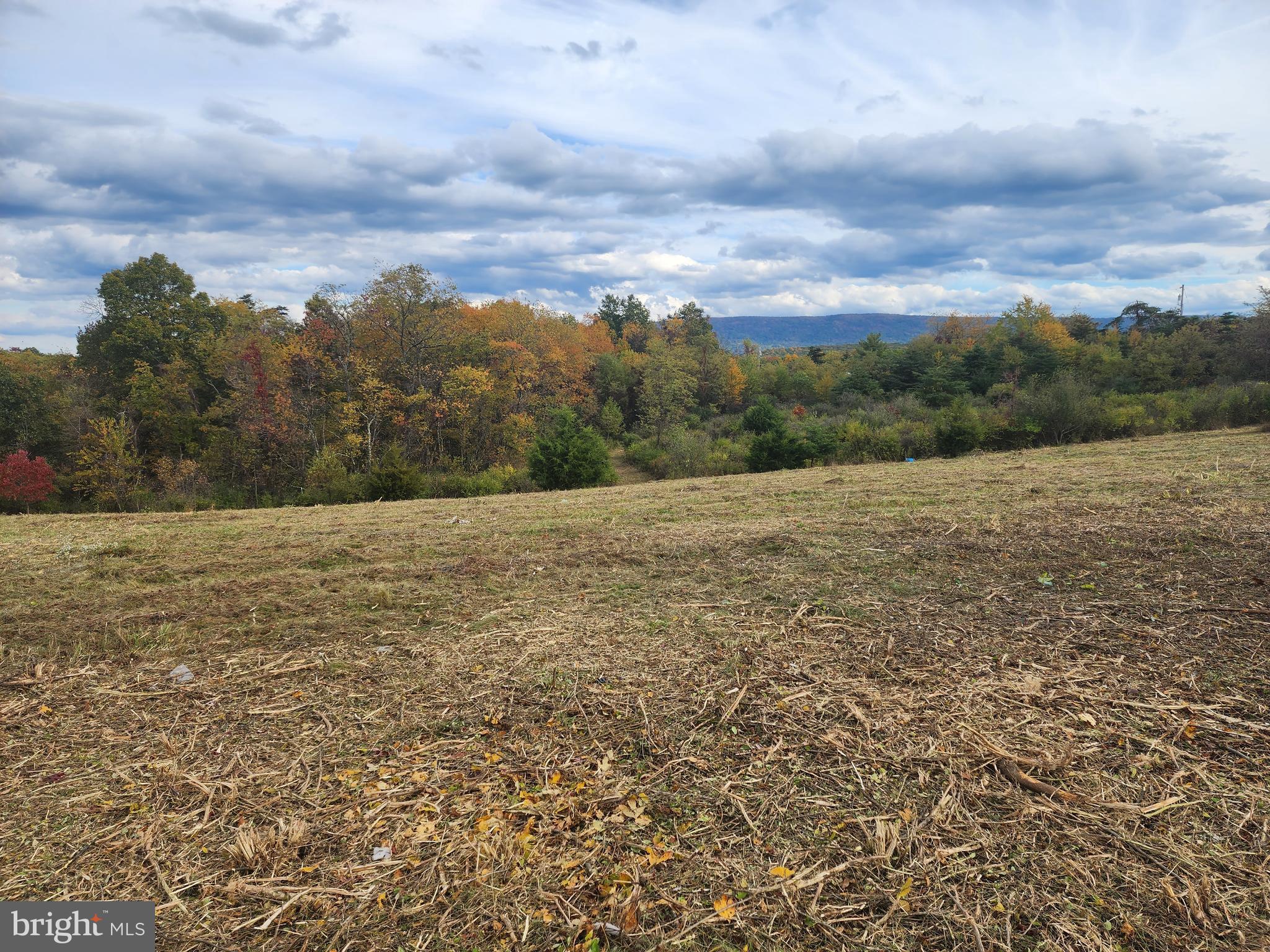 NATHANIEL PARK ESTATES - Land