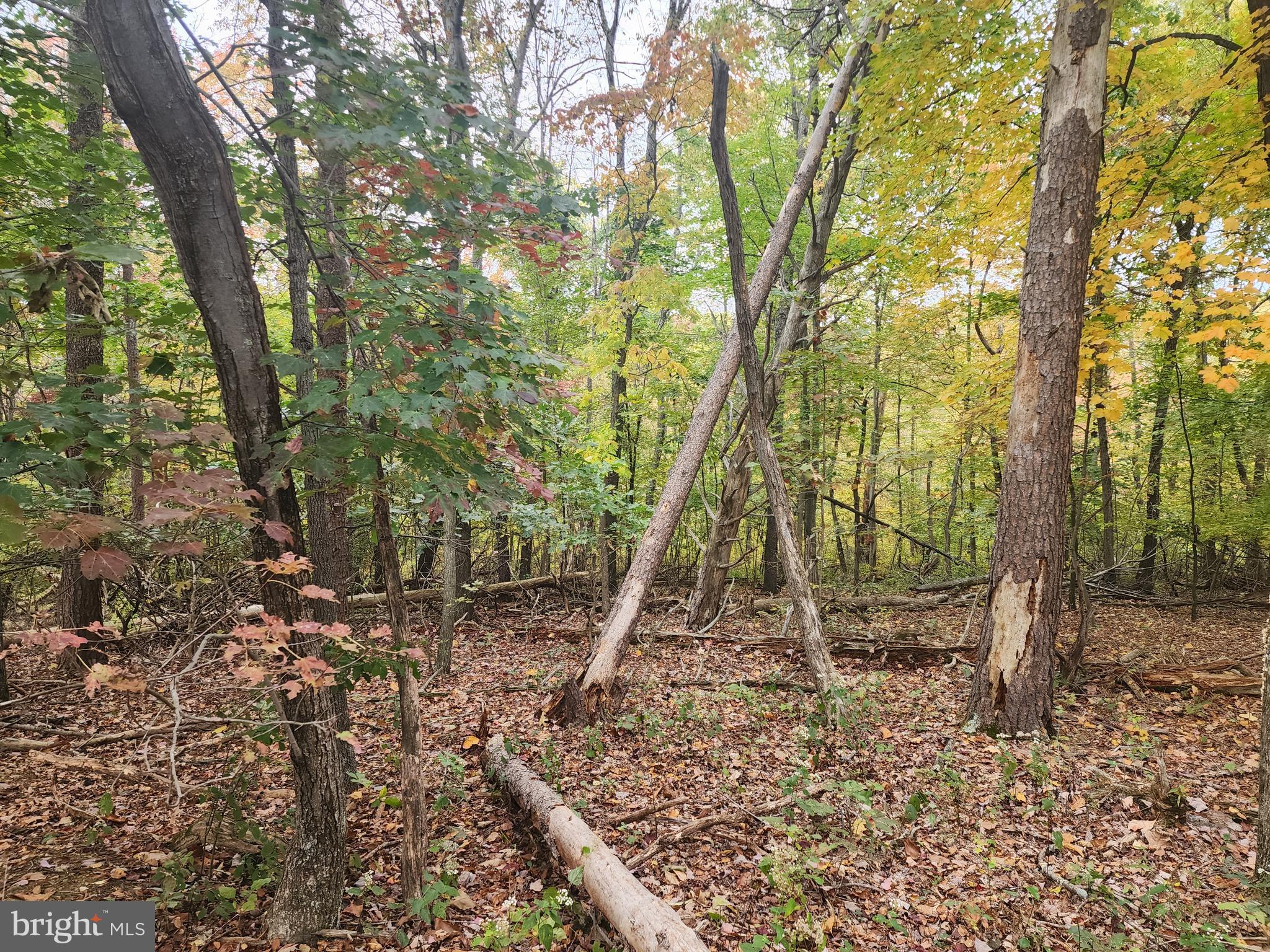 NATHANIEL PARK ESTATES - Land