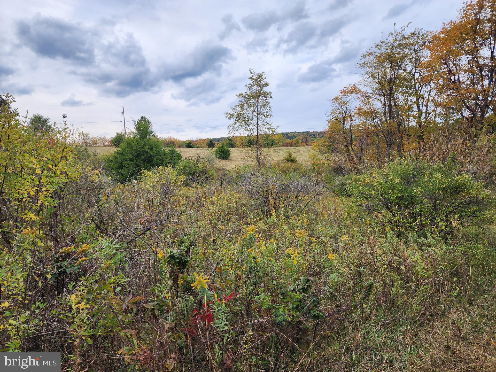 NATHANIEL PARK ESTATES - Land