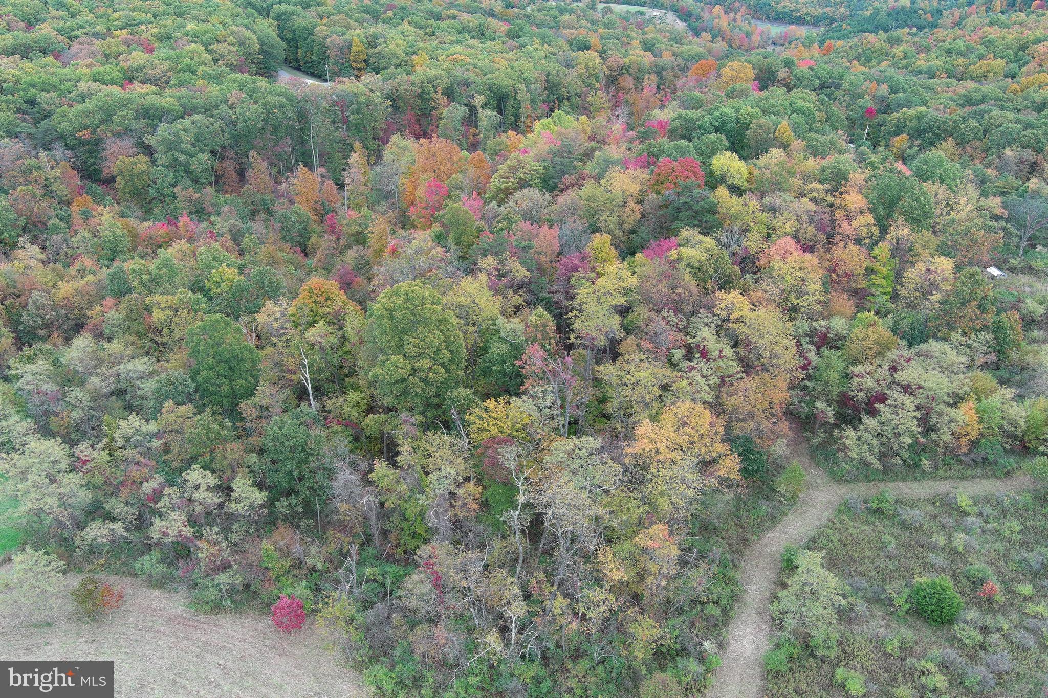 NATHANIEL PARK ESTATES - Land