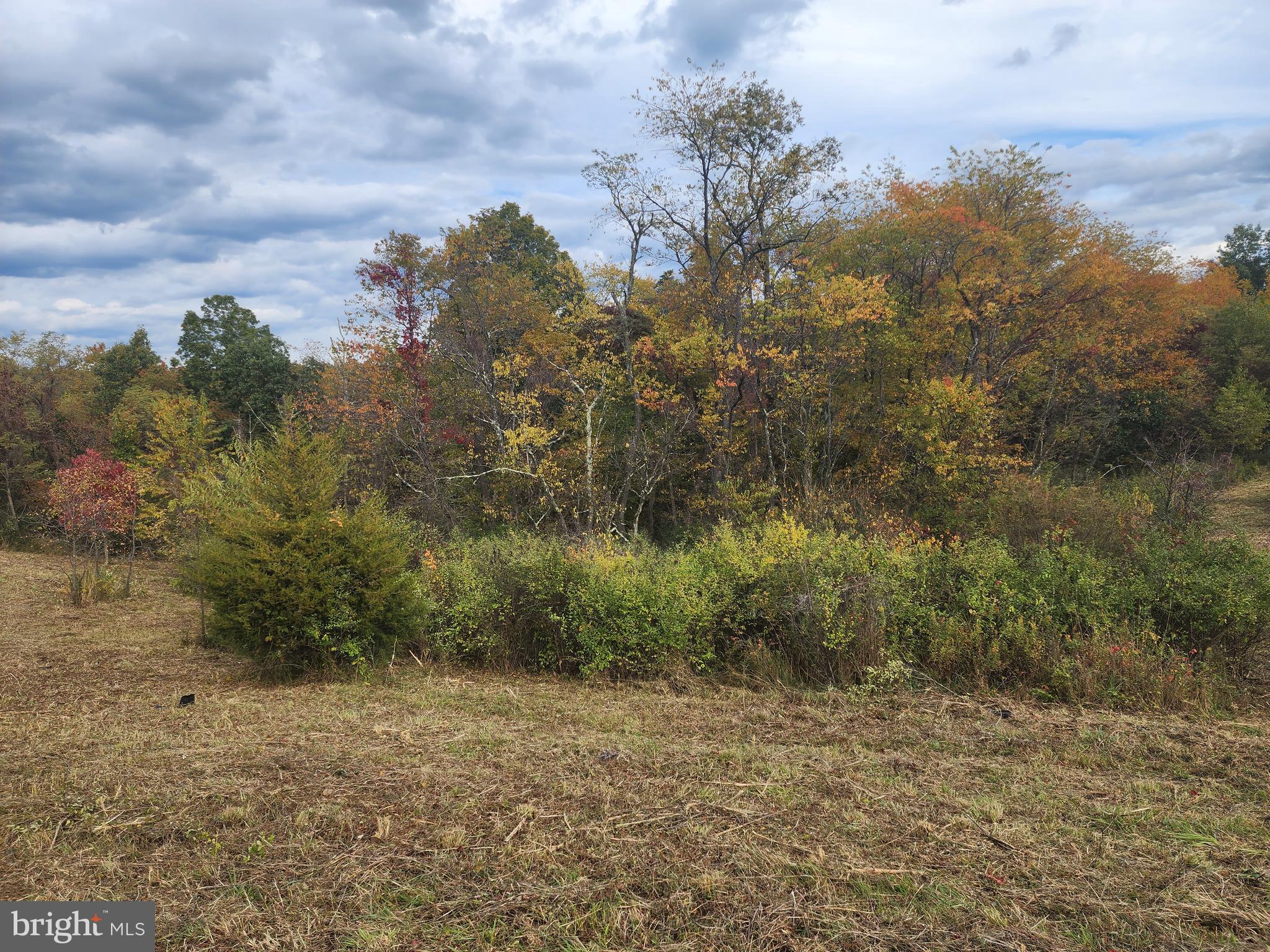 NATHANIEL PARK ESTATES - Land