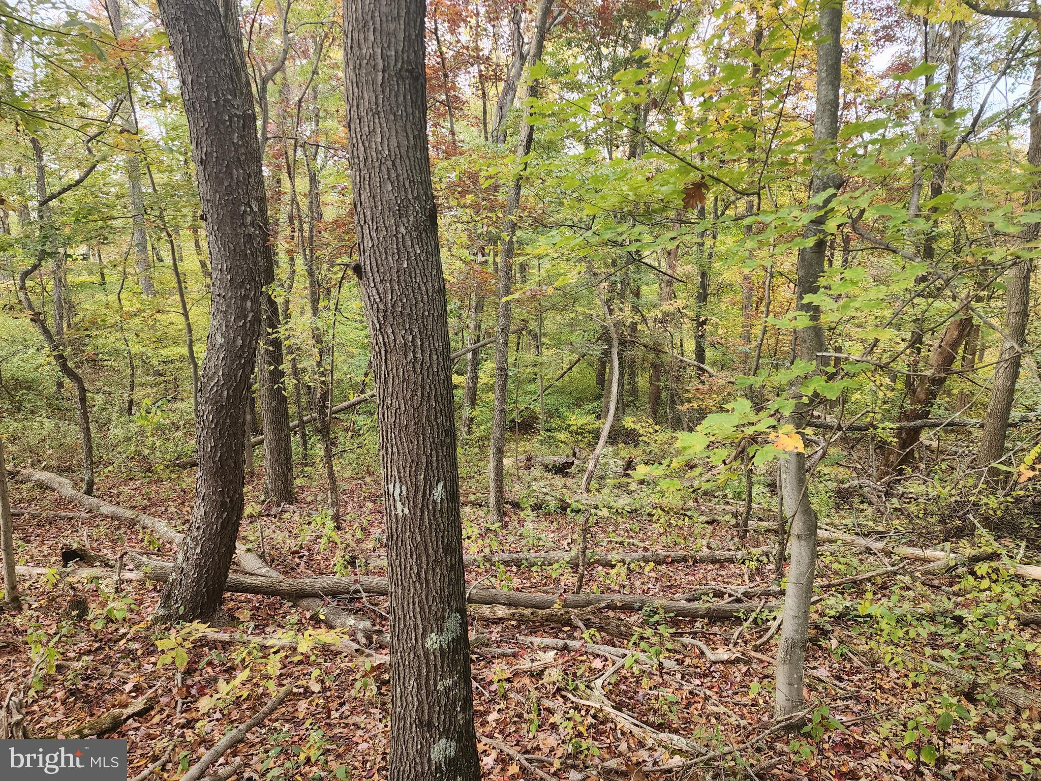 NATHANIEL PARK ESTATES - Land