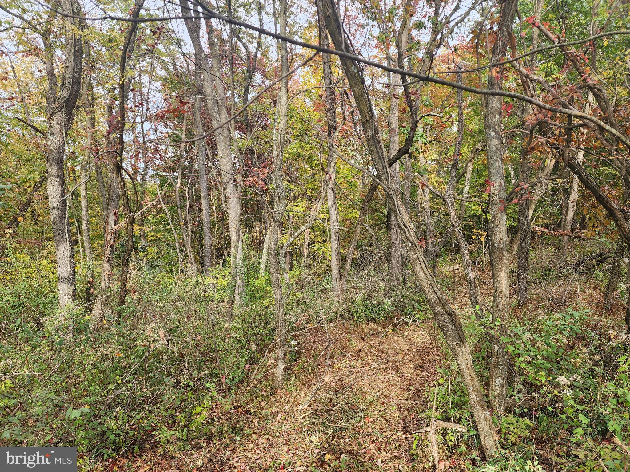 NATHANIEL PARK ESTATES - Land