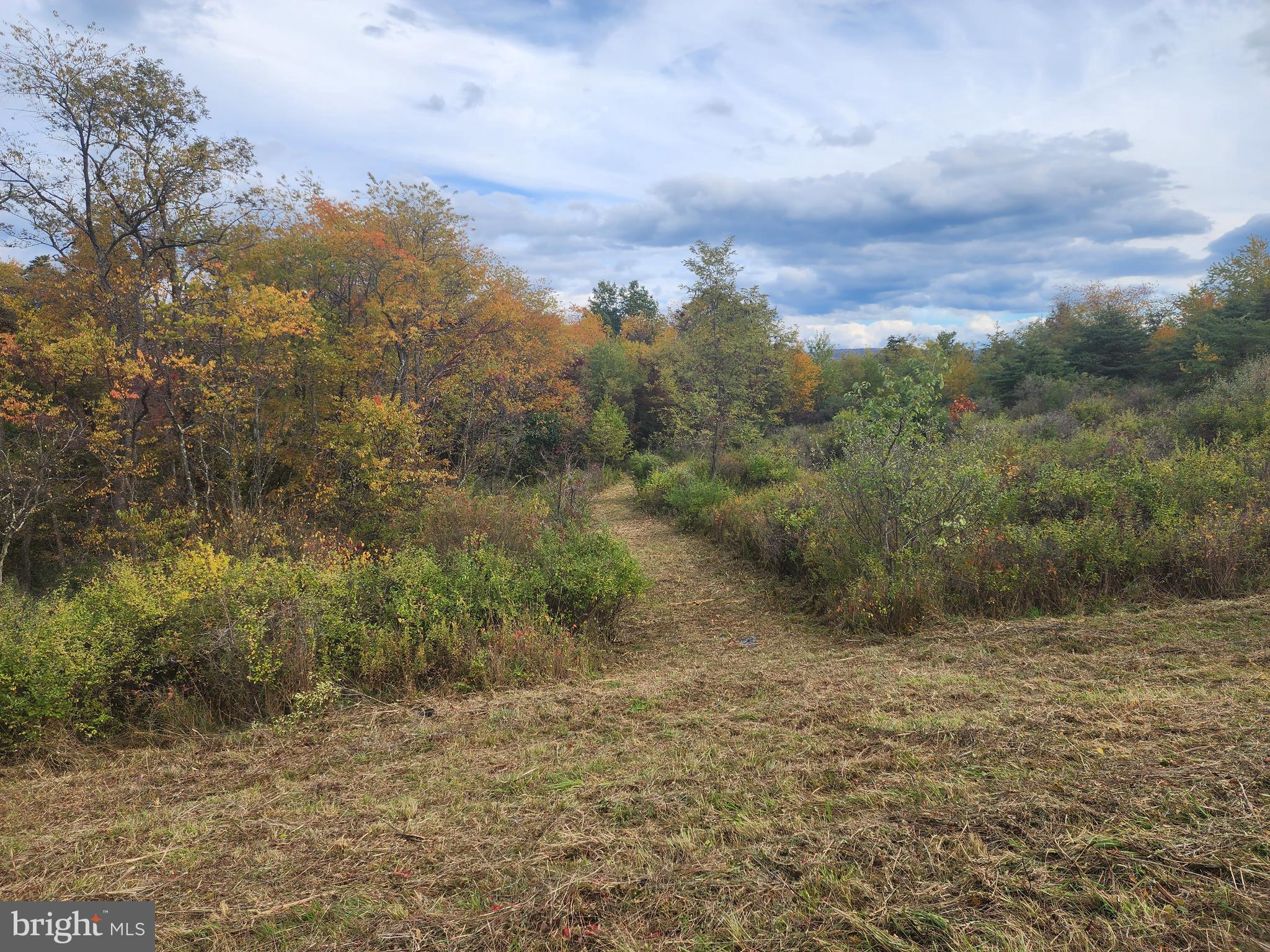 NATHANIEL PARK ESTATES - Land