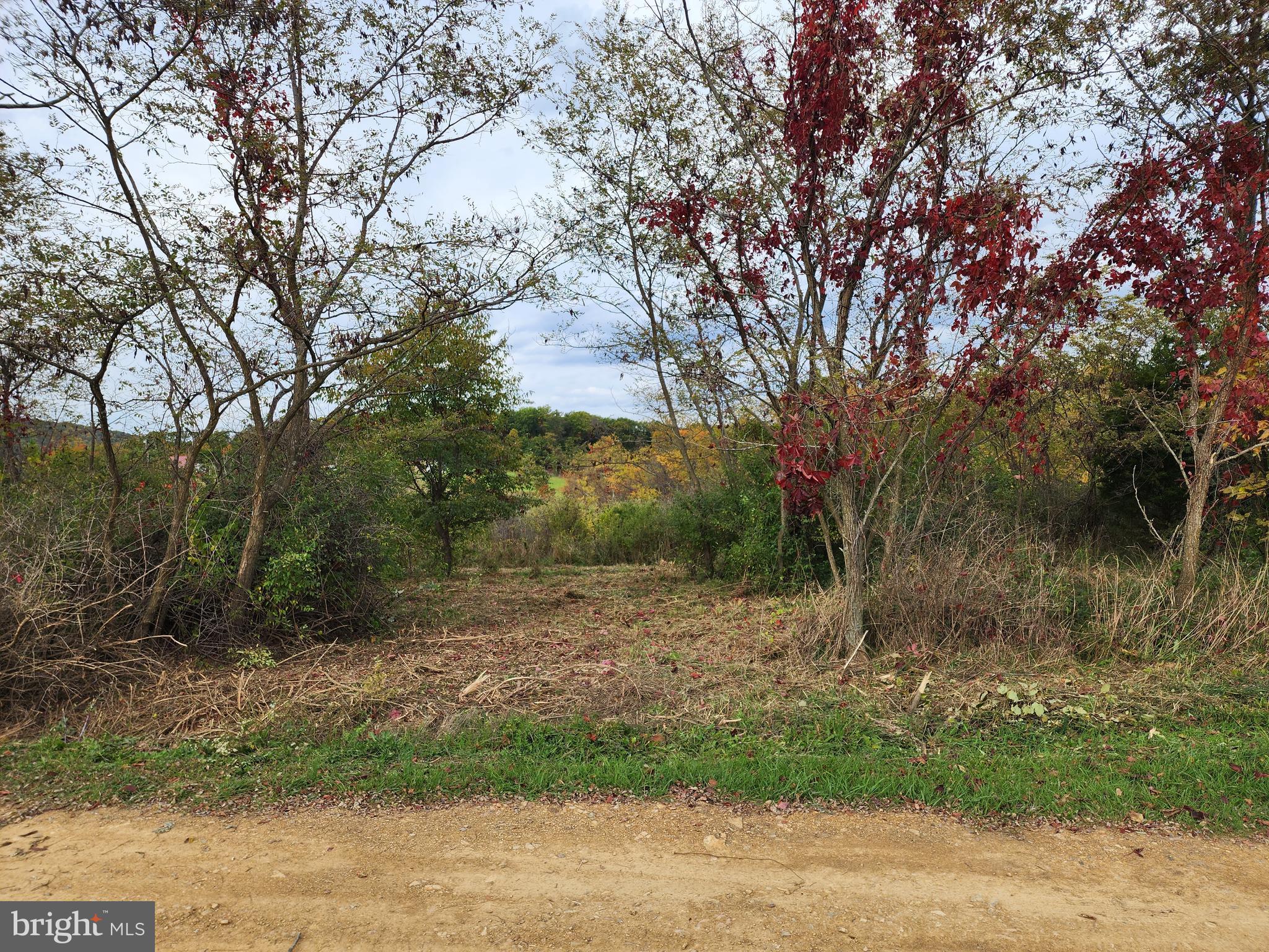 NATHANIEL PARK ESTATES - Land