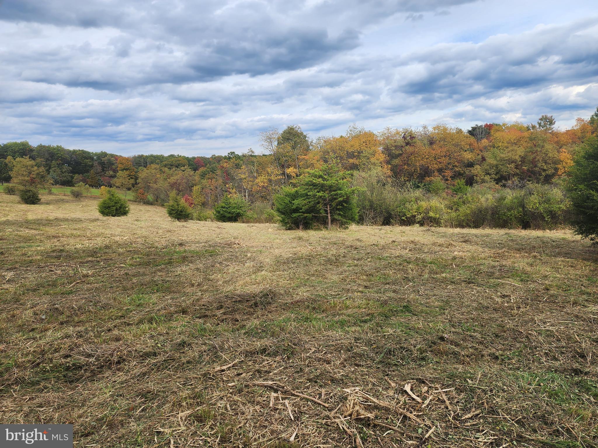 NATHANIEL PARK ESTATES - Land