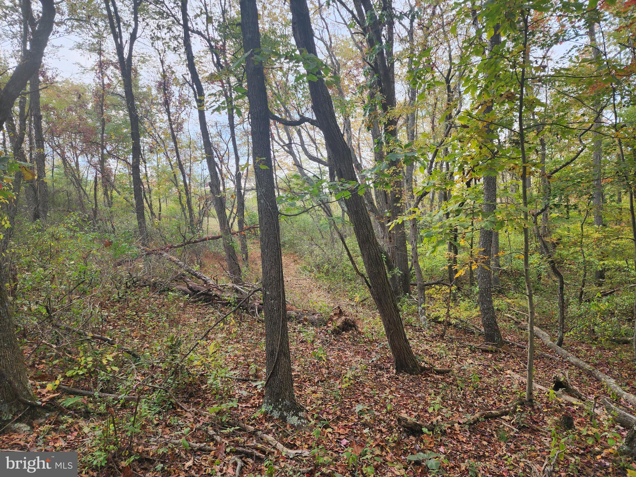 NATHANIEL PARK ESTATES - Land