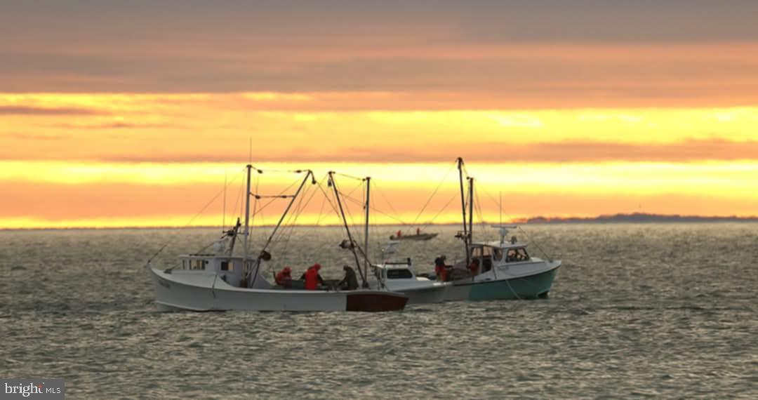 NORTHUMBERLAND - Residential