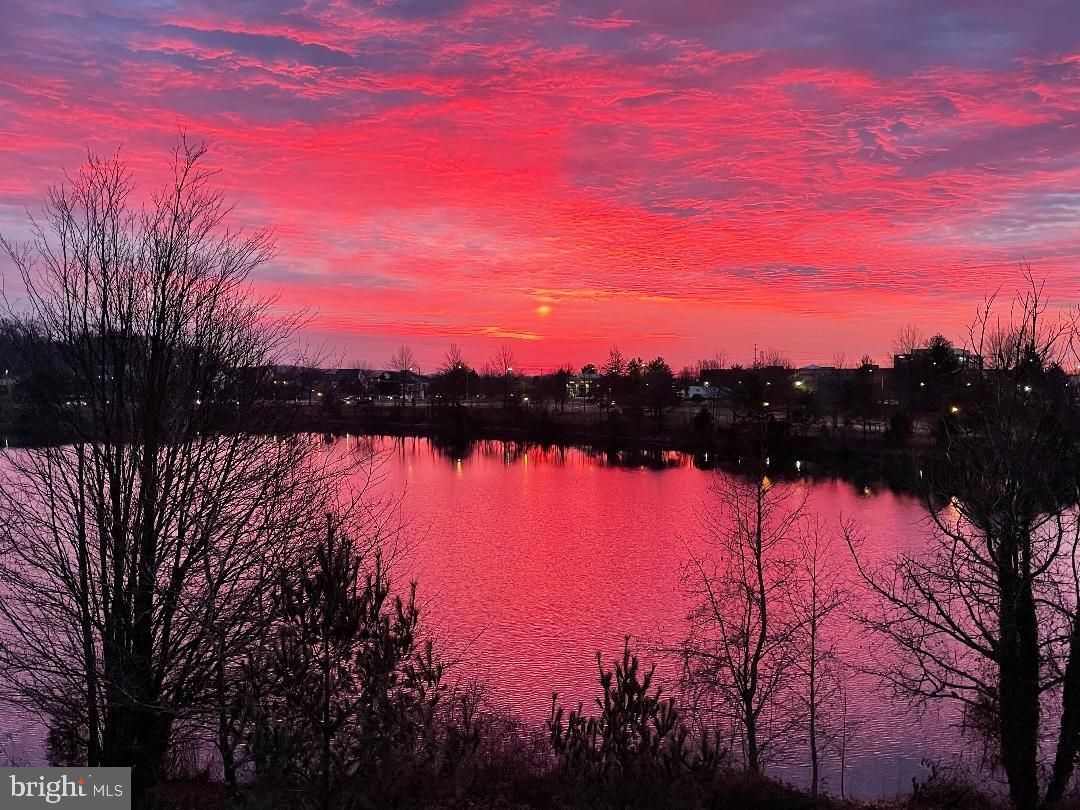 CHANCERY OF KINGSTOWNE - Residential