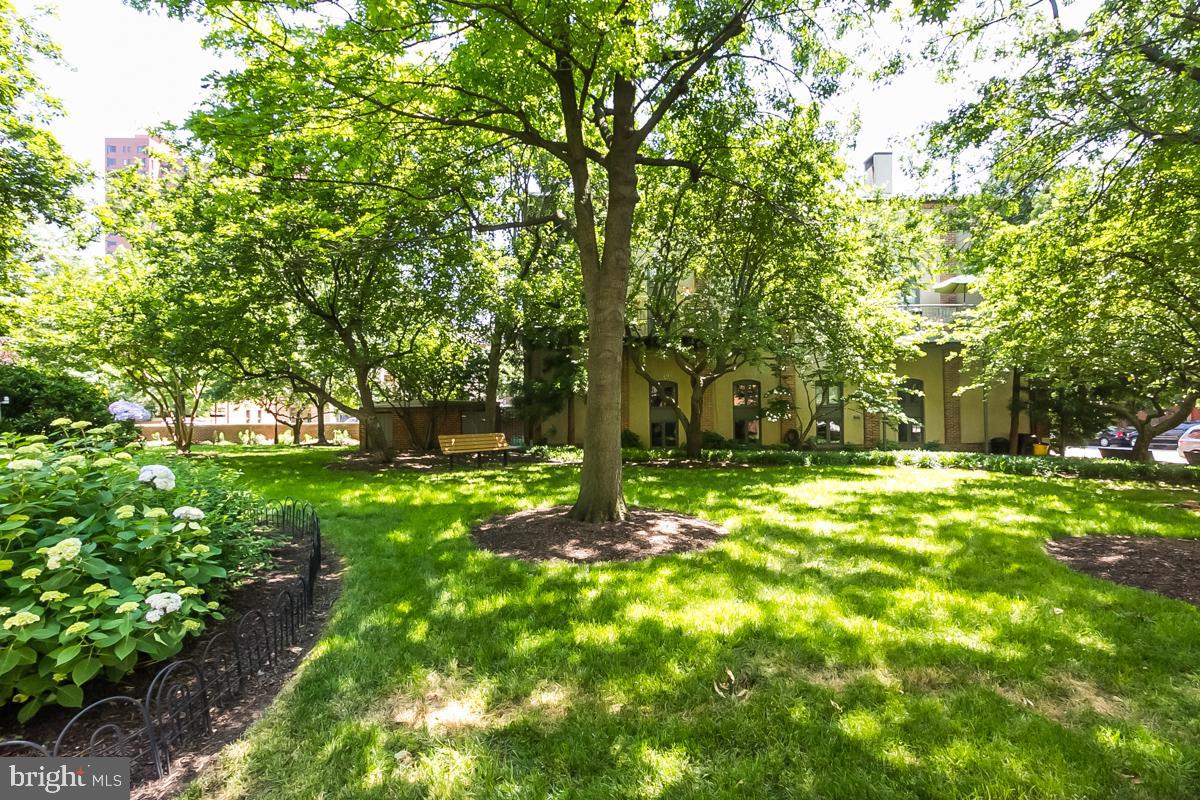 OTTERBEIN - Residential Lease