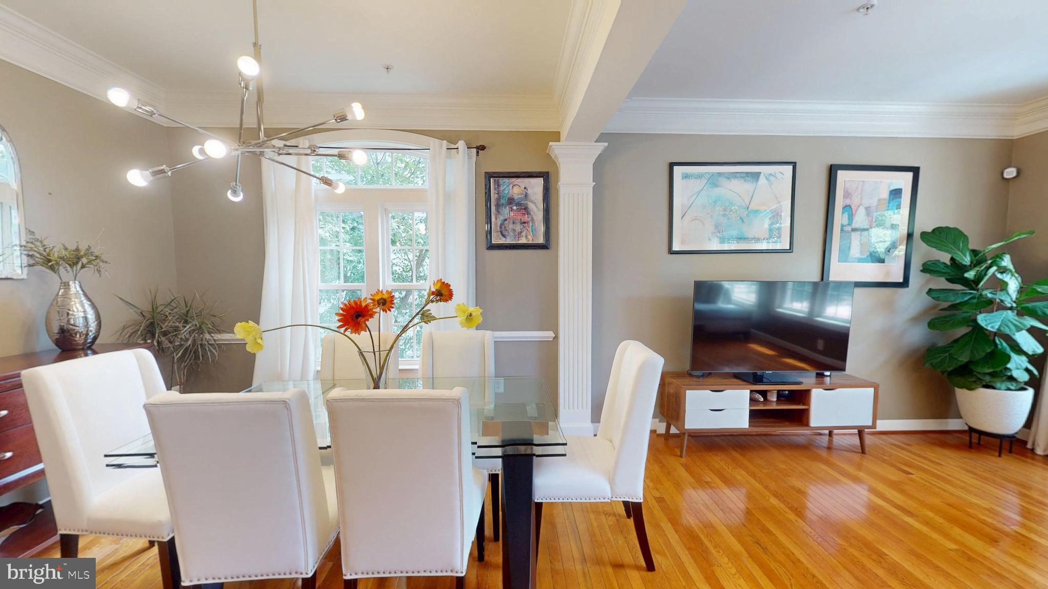 541 BOLIN TERRACE