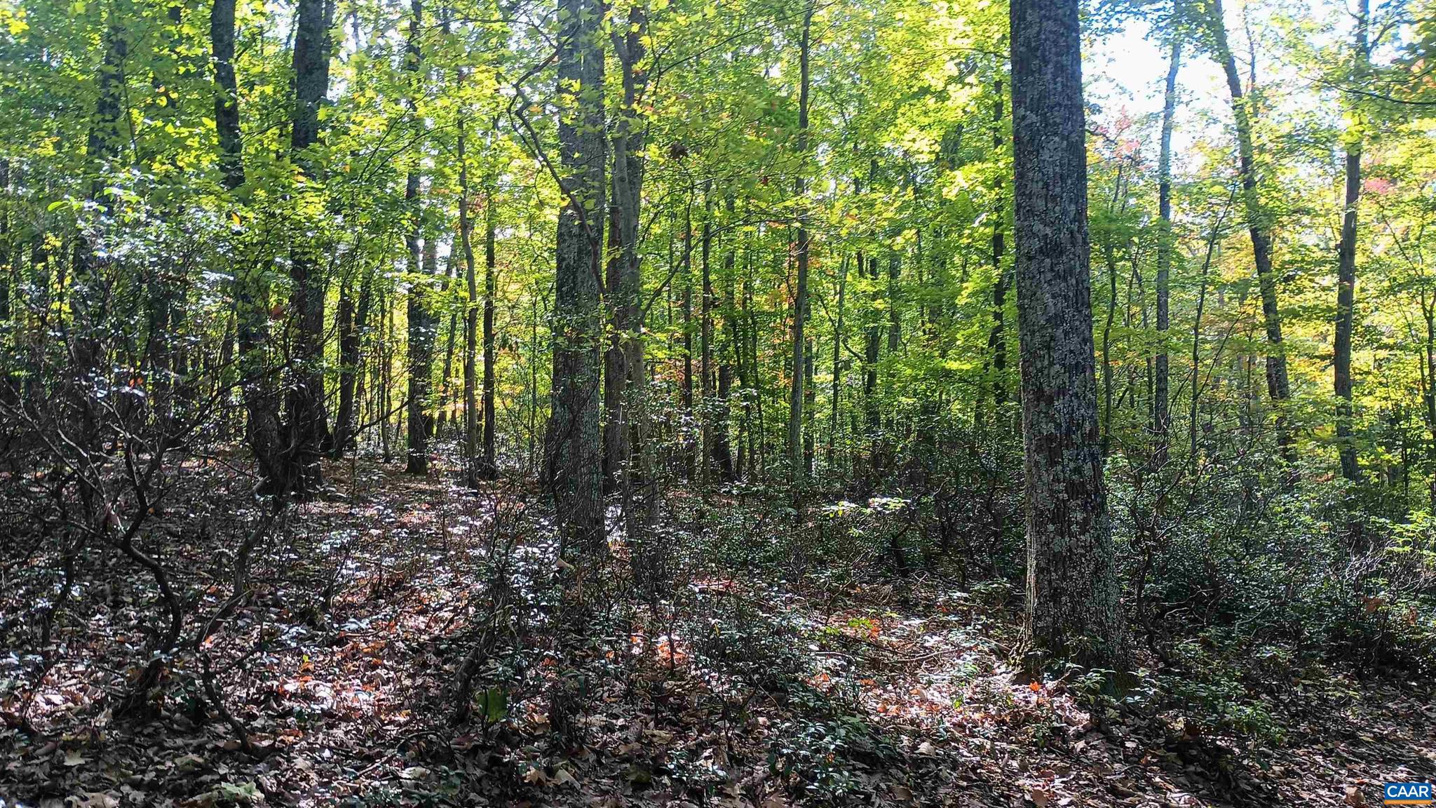 NONE AVAILABLE - Land