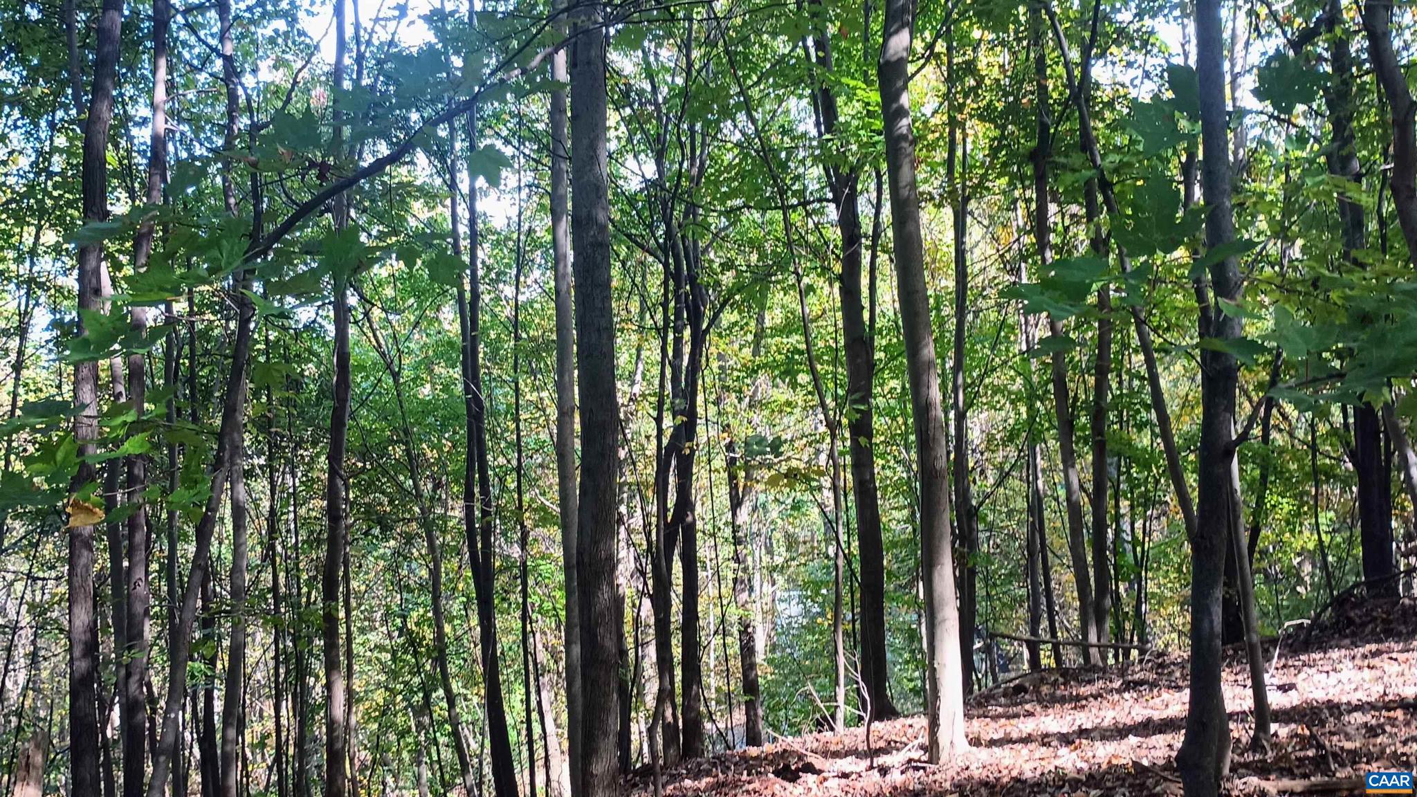 NONE AVAILABLE - Land