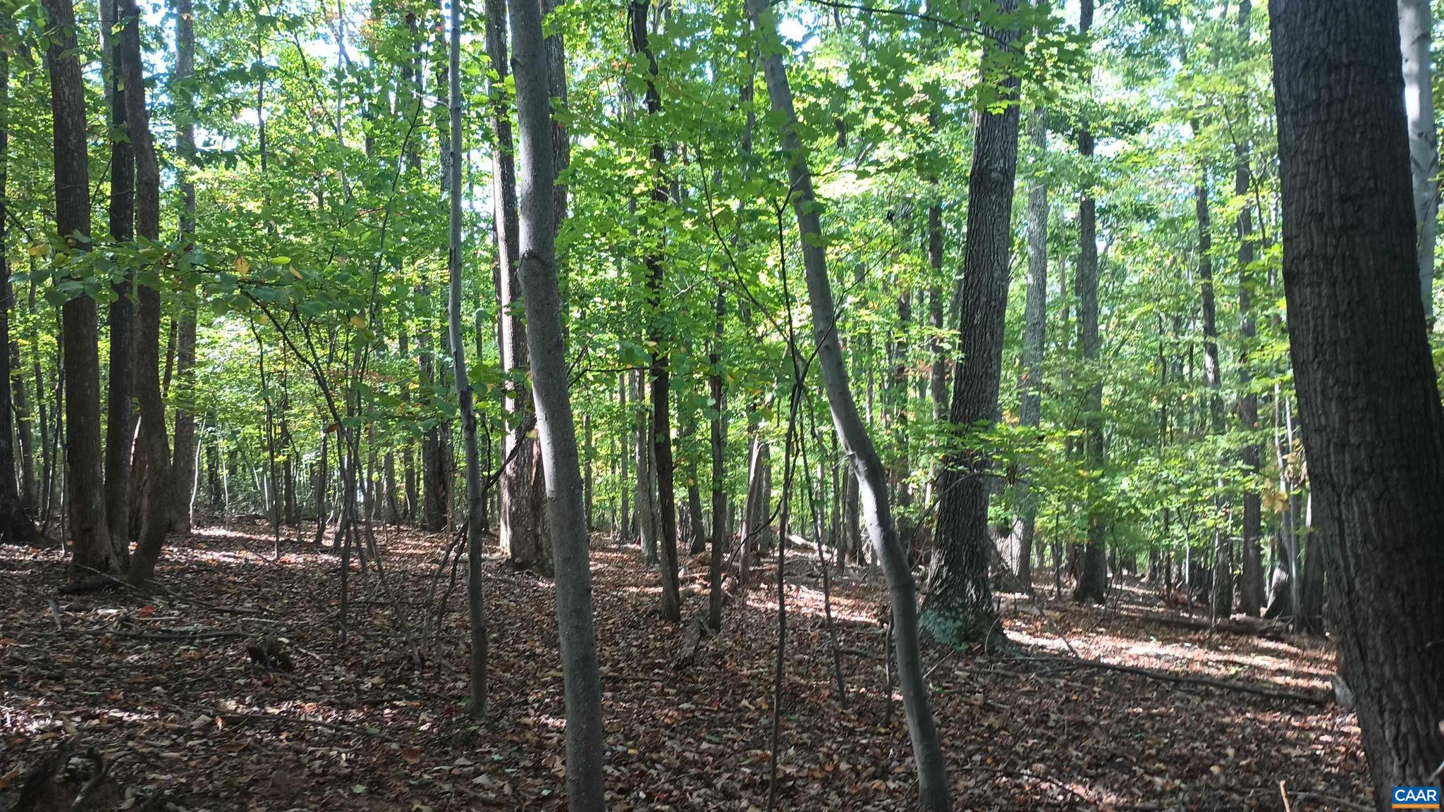 NONE AVAILABLE - Land