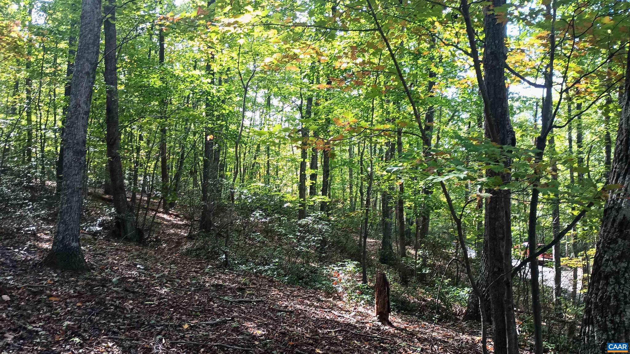 NONE AVAILABLE - Land