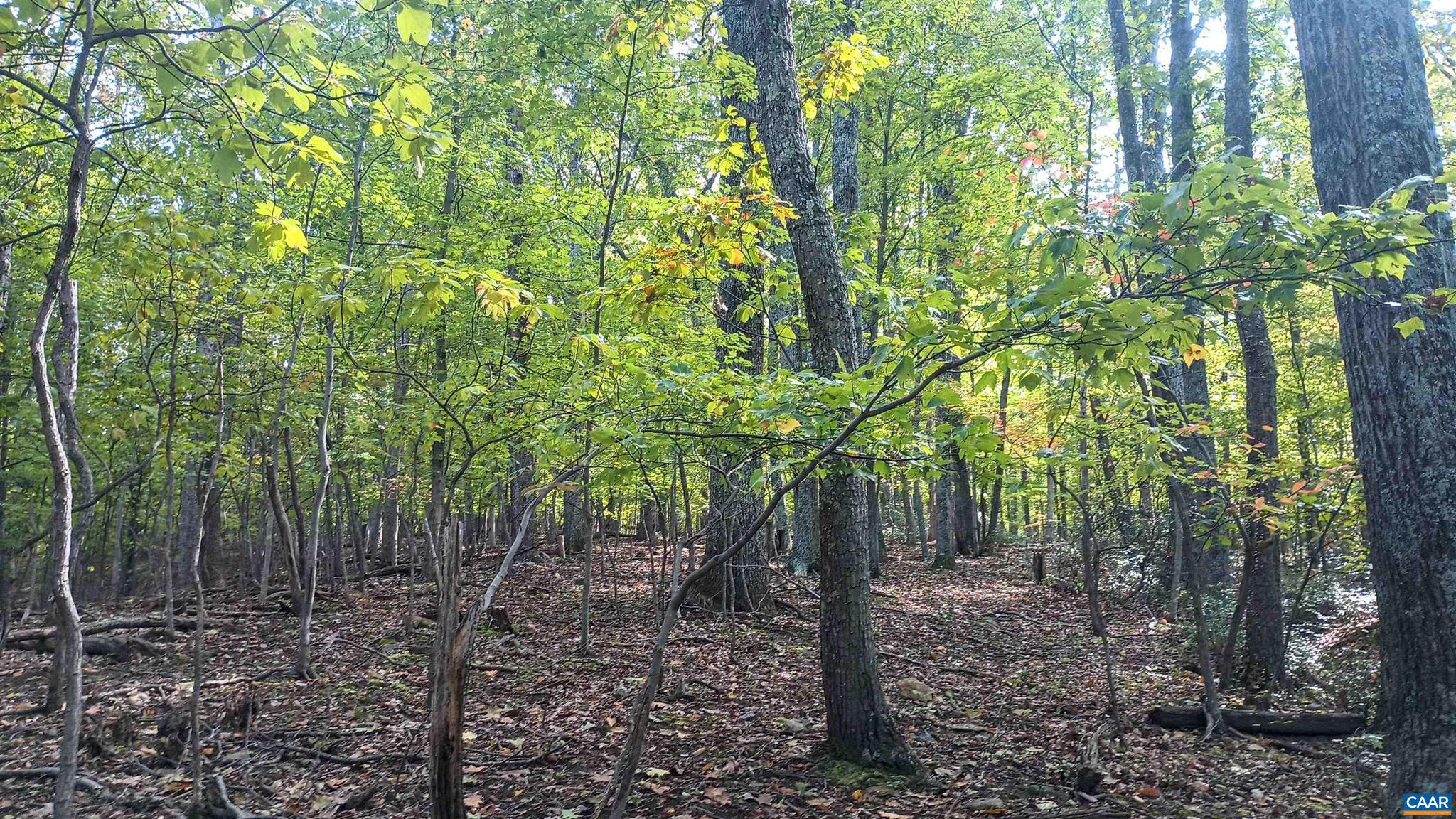 NONE AVAILABLE - Land