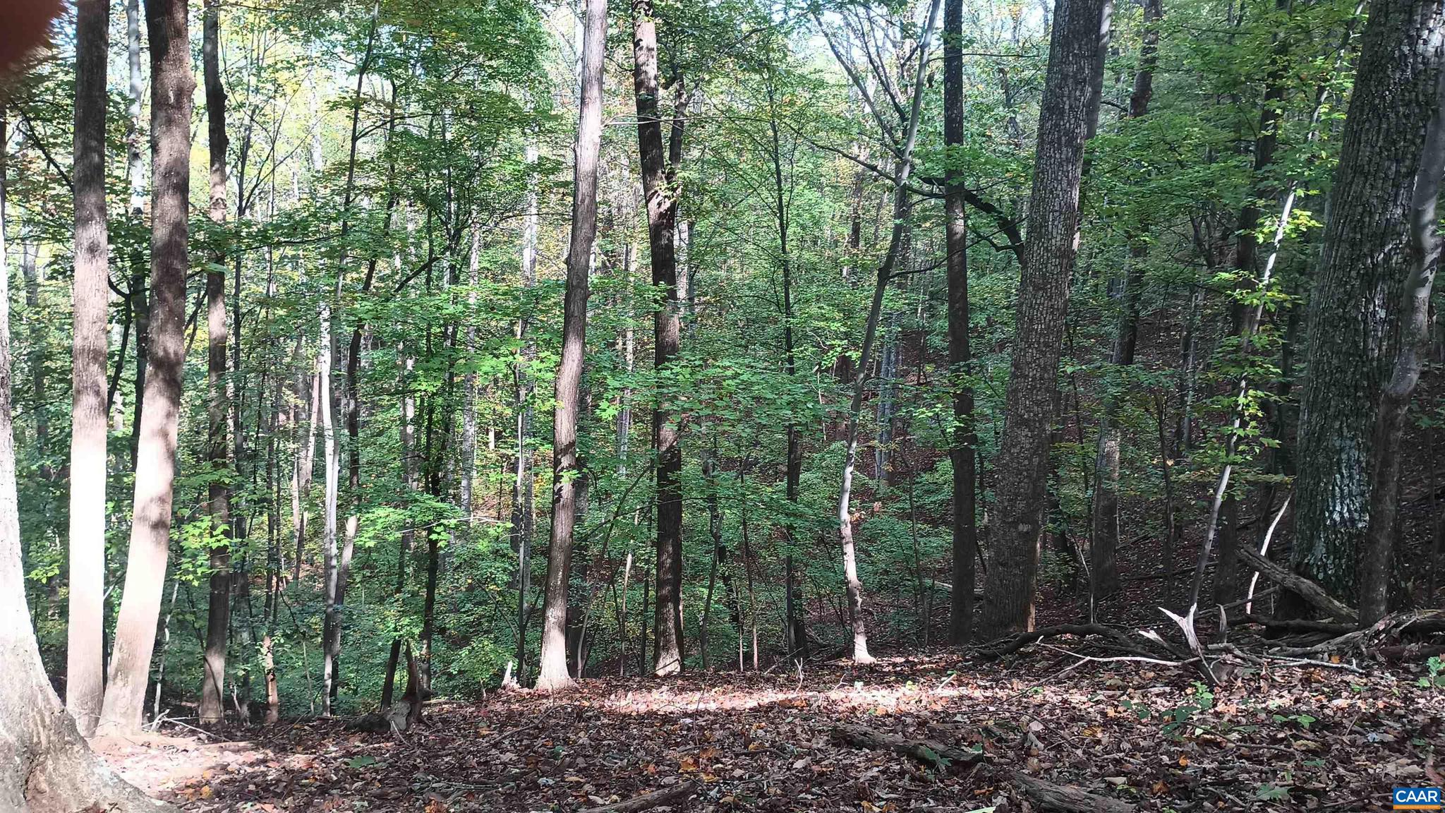 NONE AVAILABLE - Land