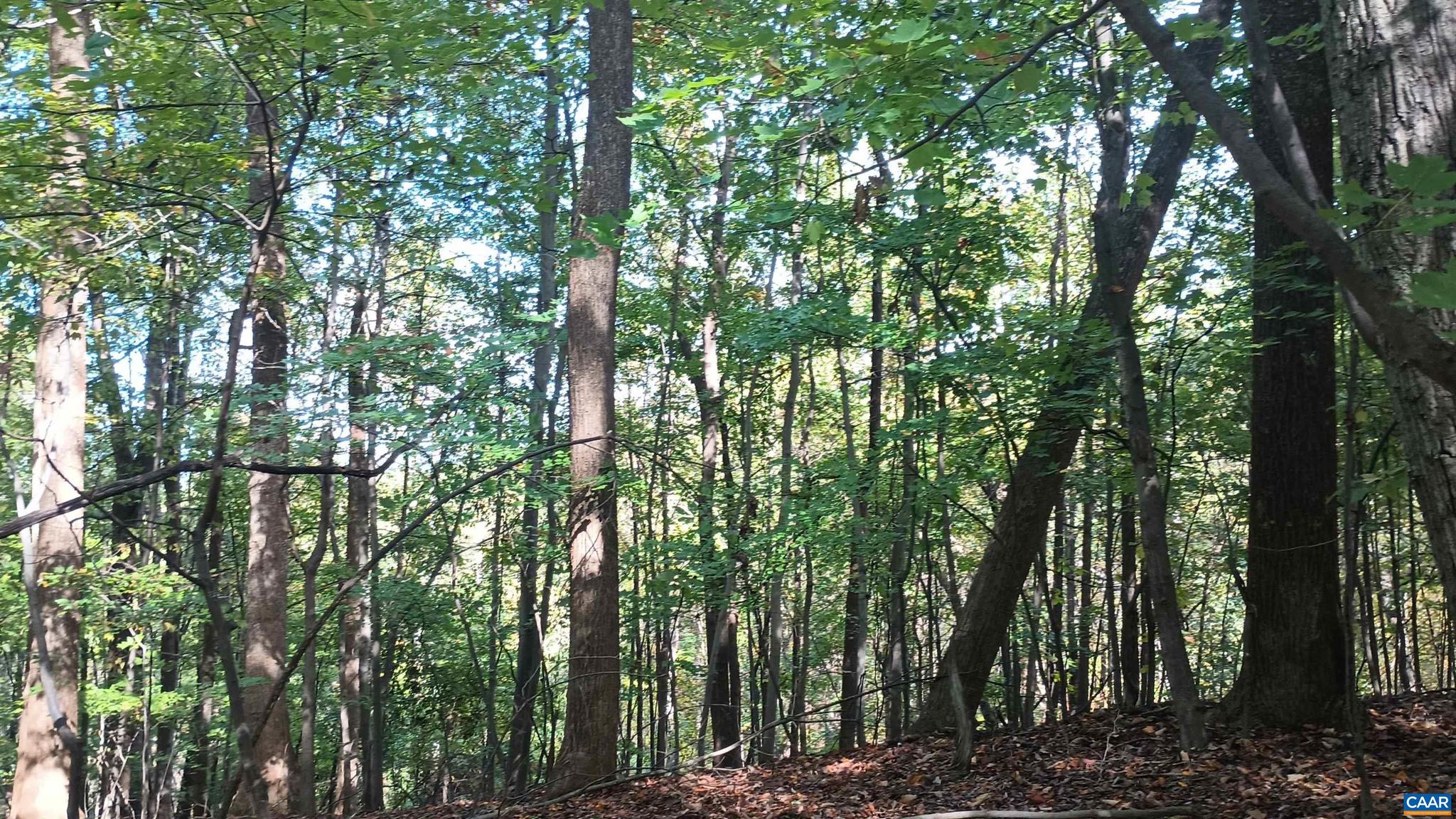 NONE AVAILABLE - Land