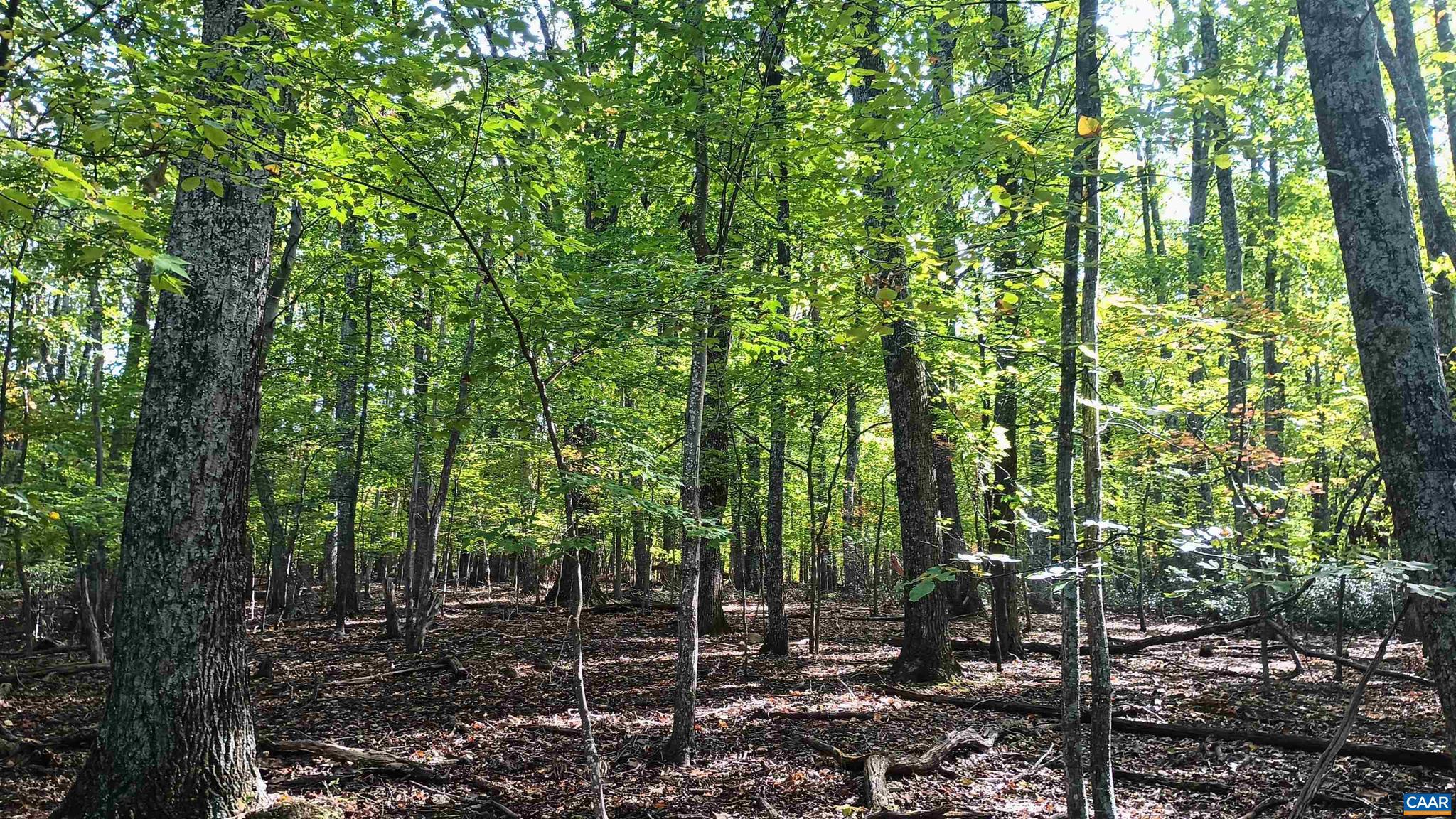 NONE AVAILABLE - Land