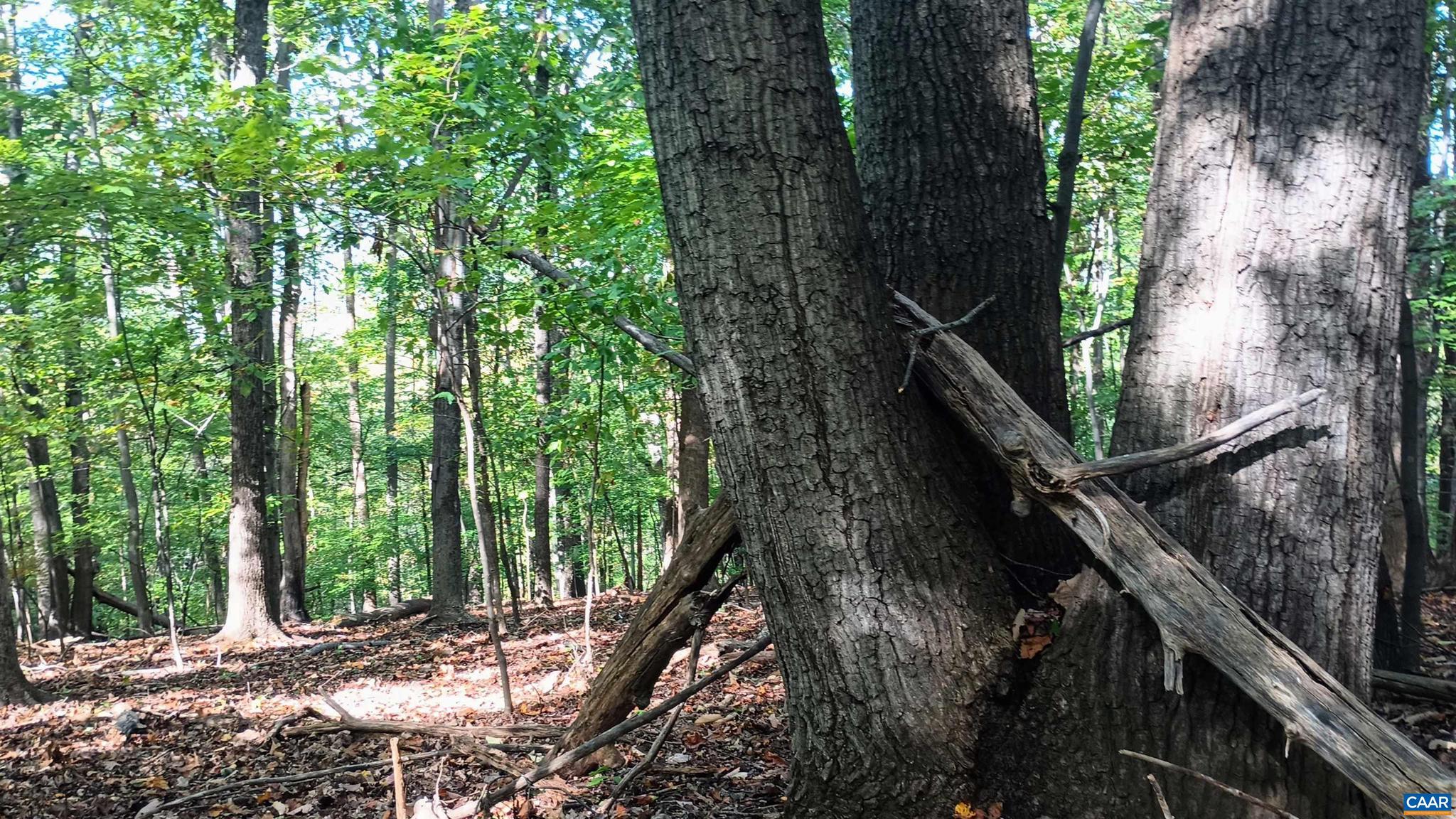 NONE AVAILABLE - Land