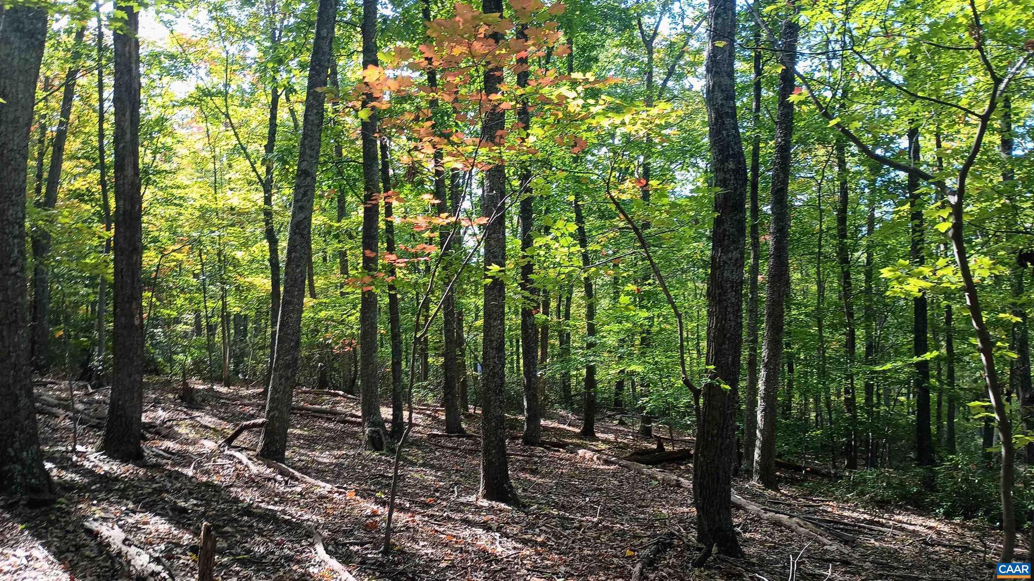 NONE AVAILABLE - Land