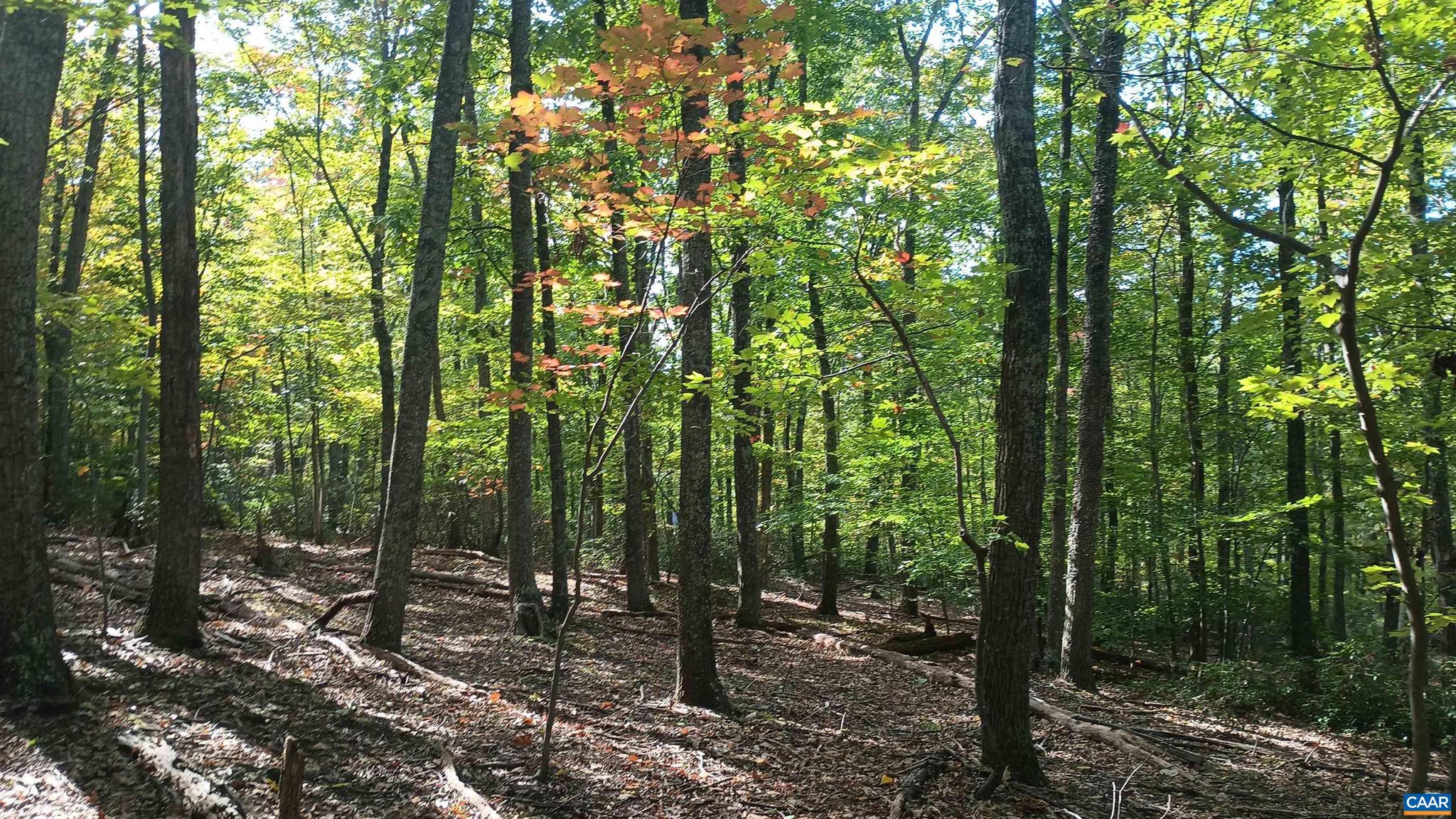 NONE AVAILABLE - Land