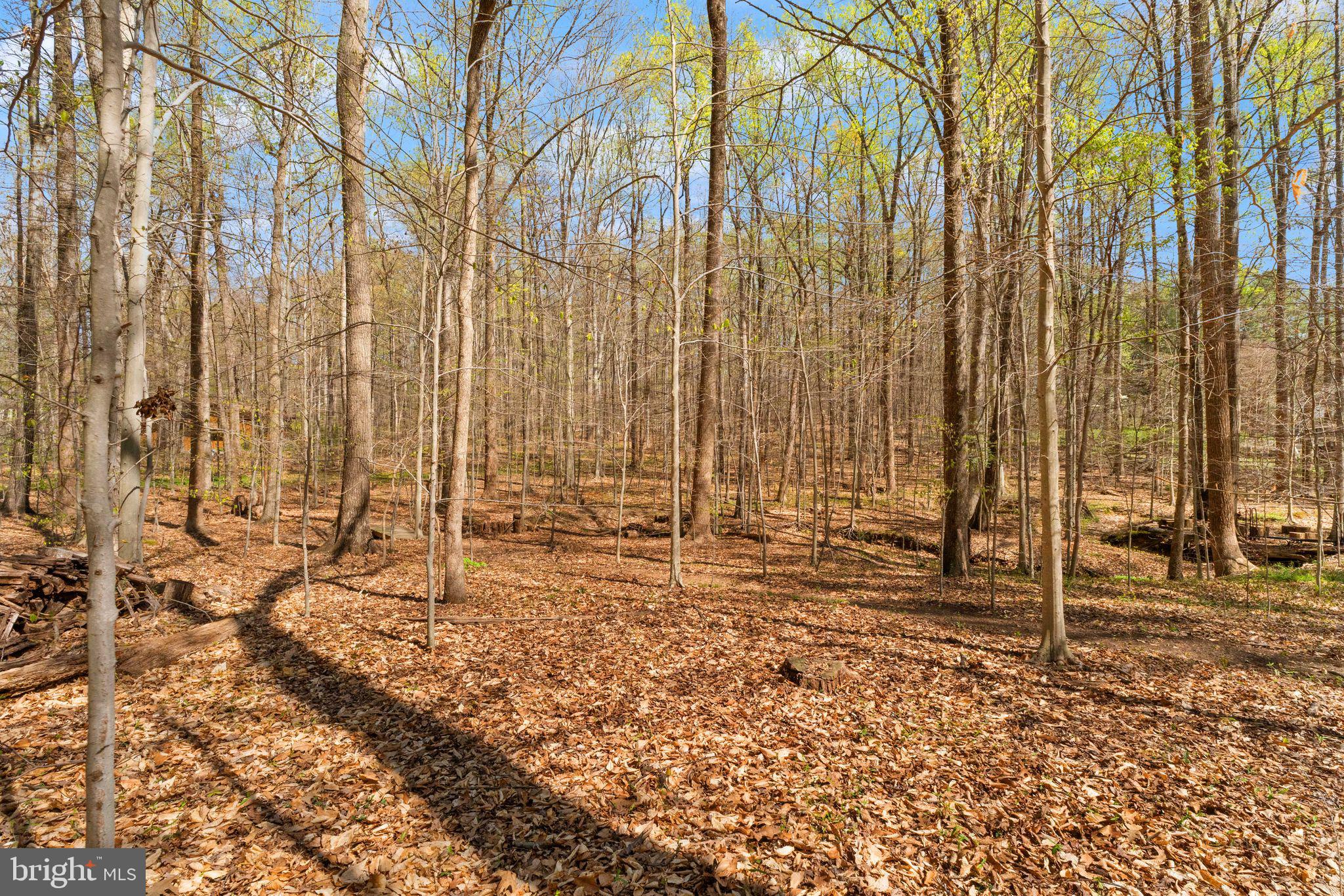 ARDMORE WOODS - Residential