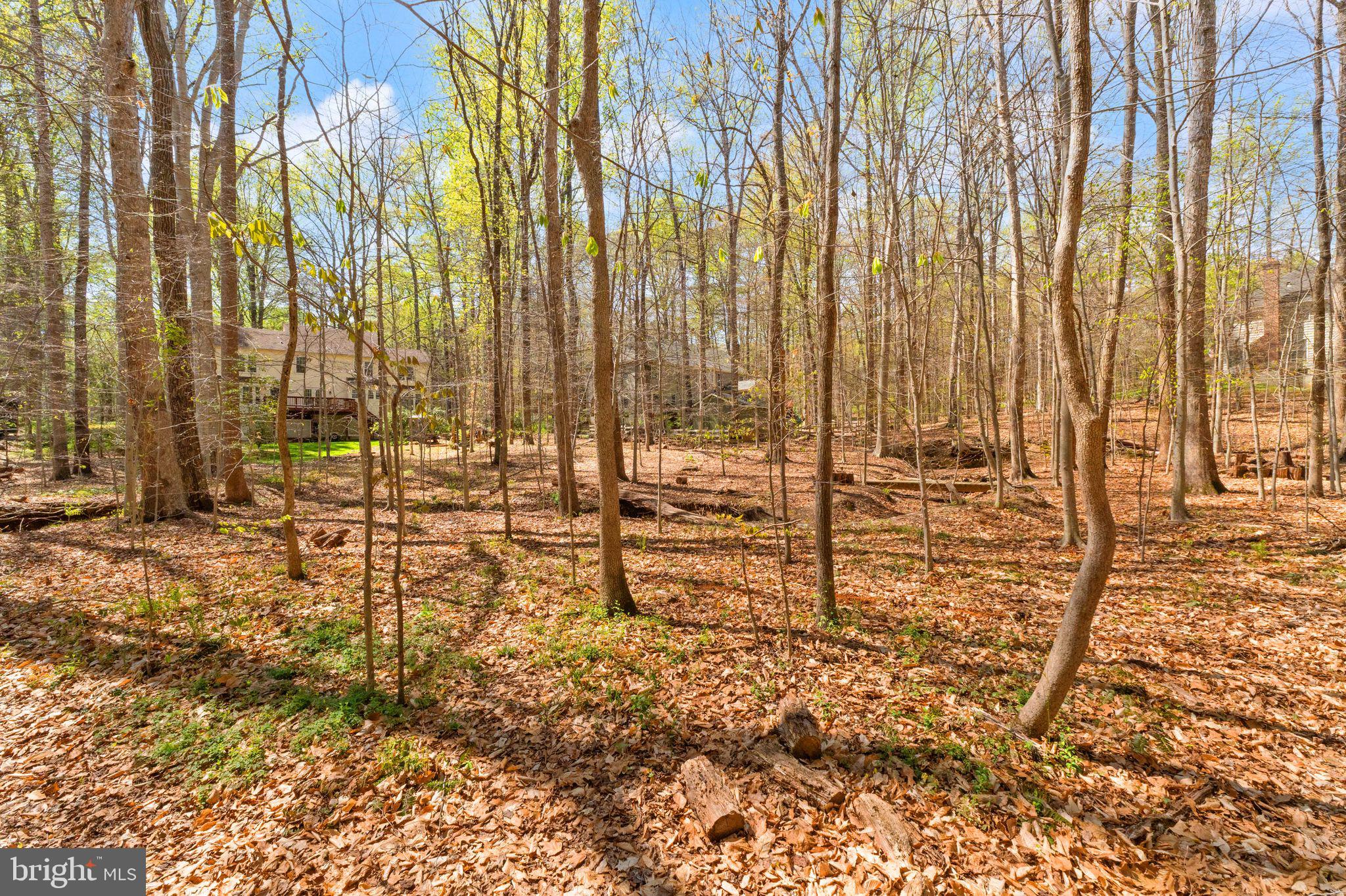 ARDMORE WOODS - Residential