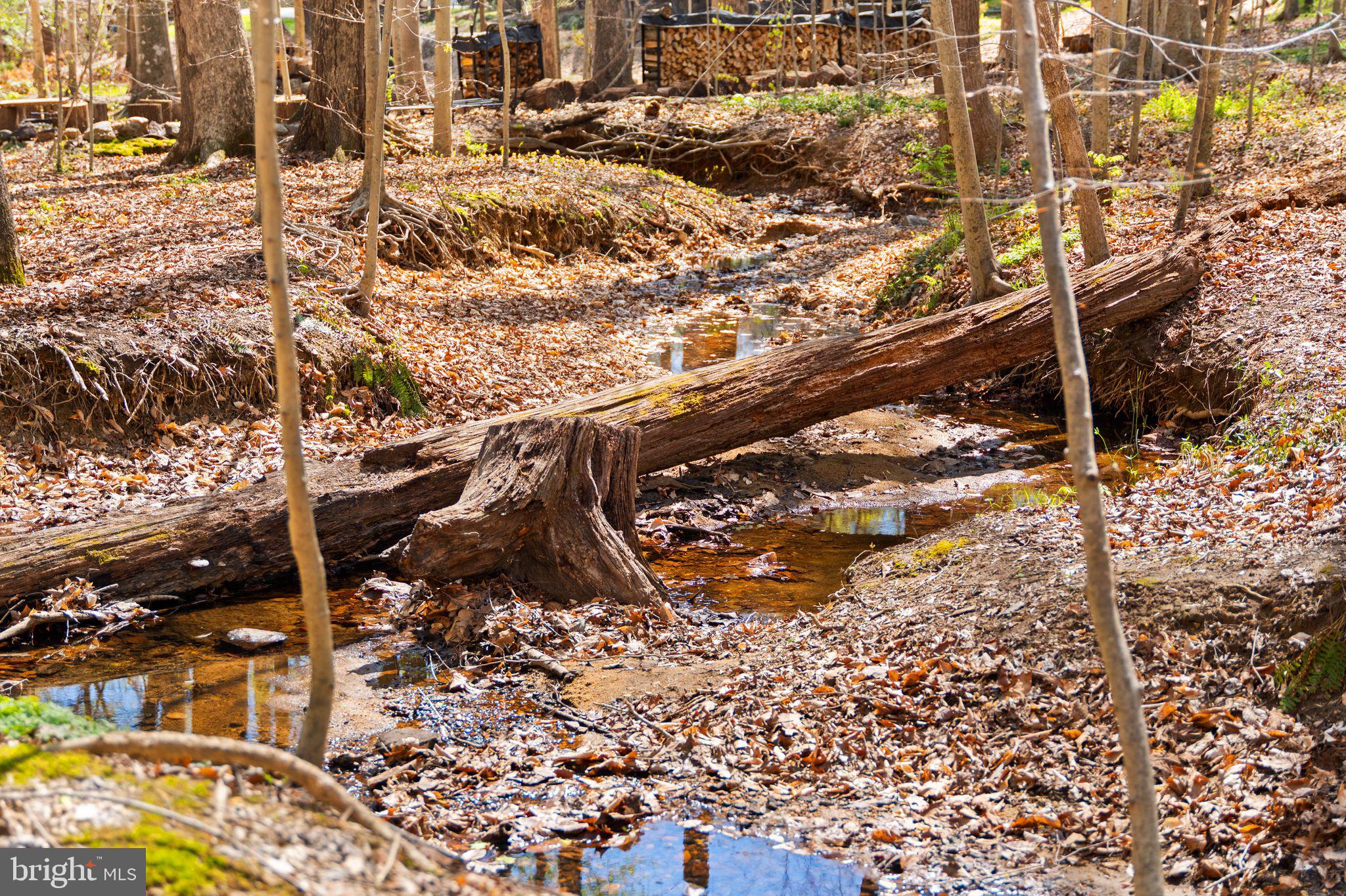 ARDMORE WOODS - Residential