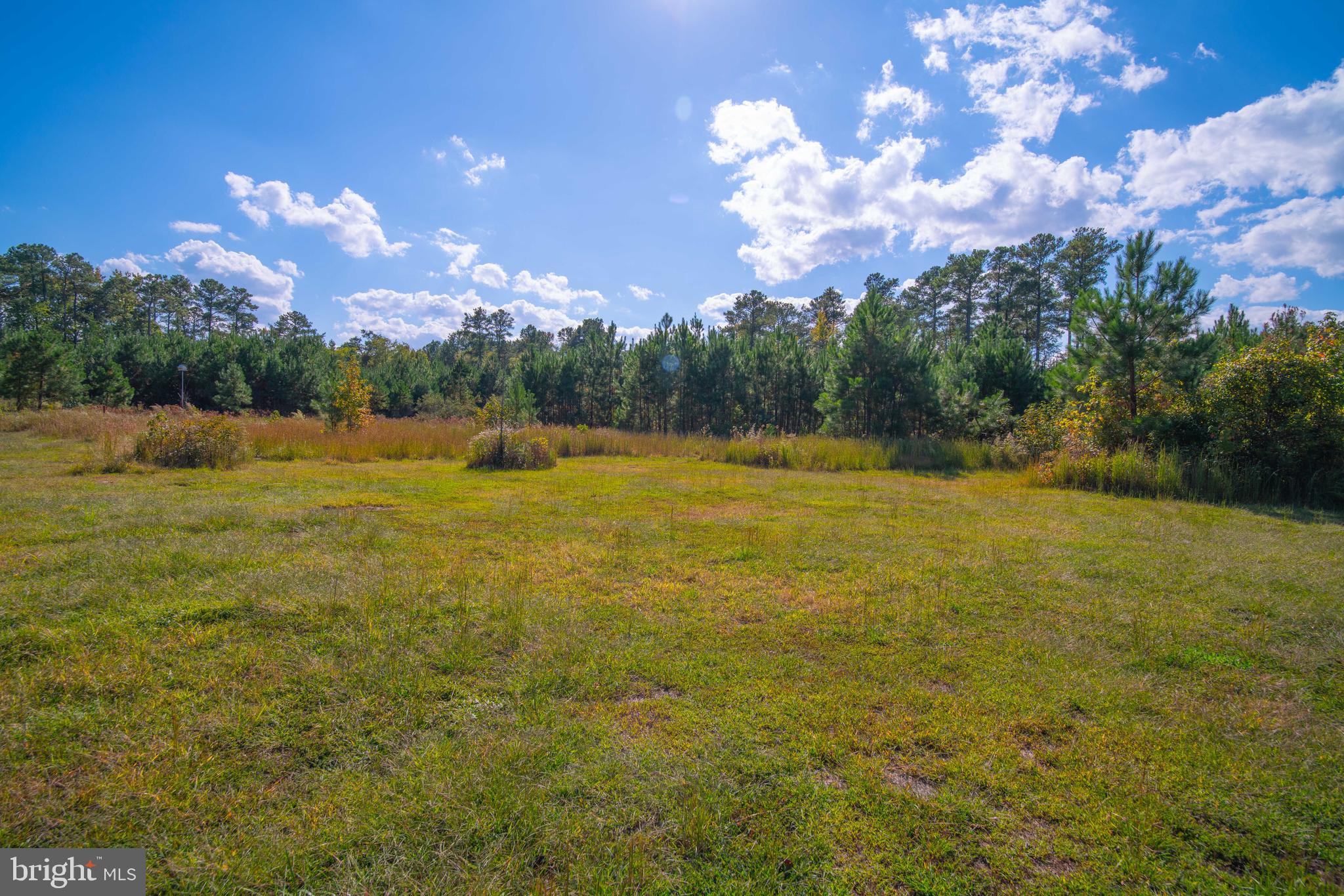 THE WOODS AT BAYSIDE - Residential