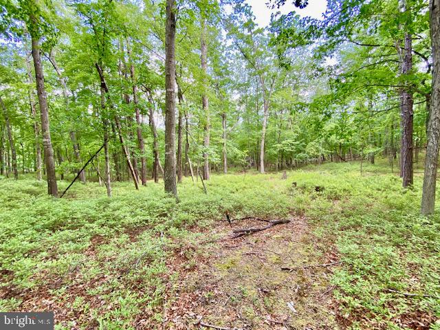 LOST RIVER RIDGE SUBDIVISION - Land