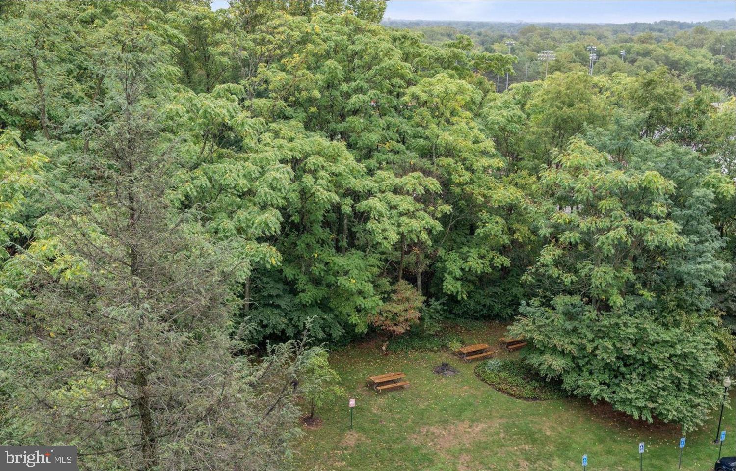 BARCROFT HILLS - Residential Lease