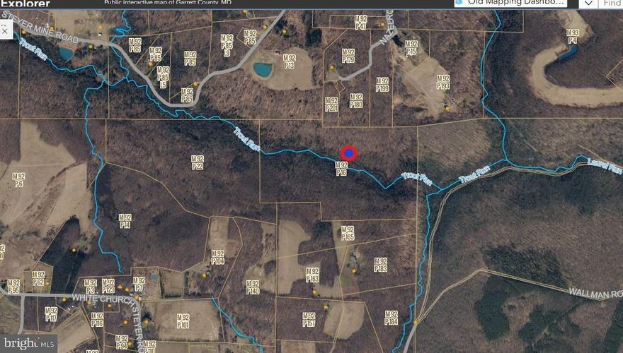 Gorgeous 70+/- Acres bordering state forest