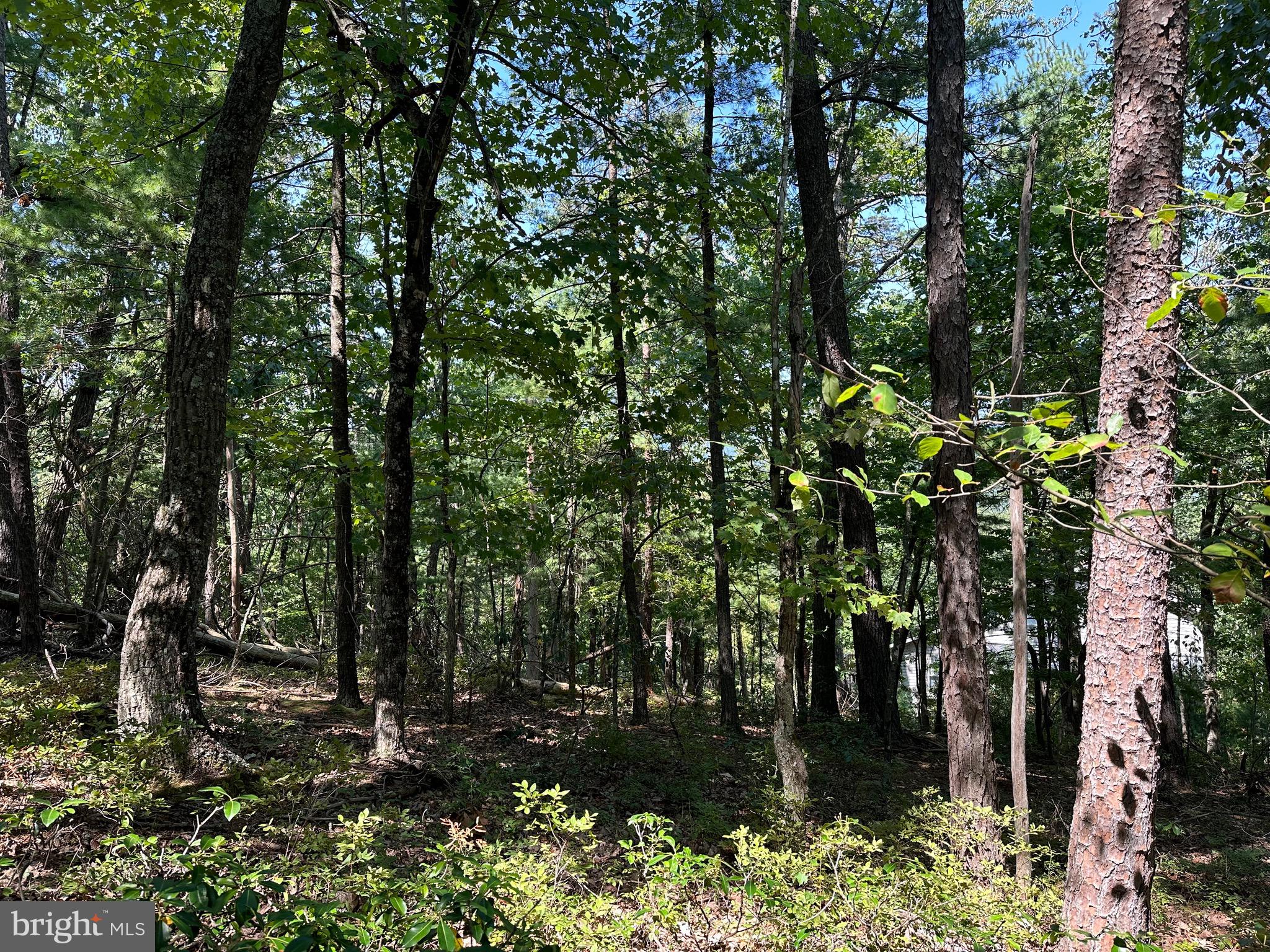 BRYCE  MOUNTAIN  RESORT - Land