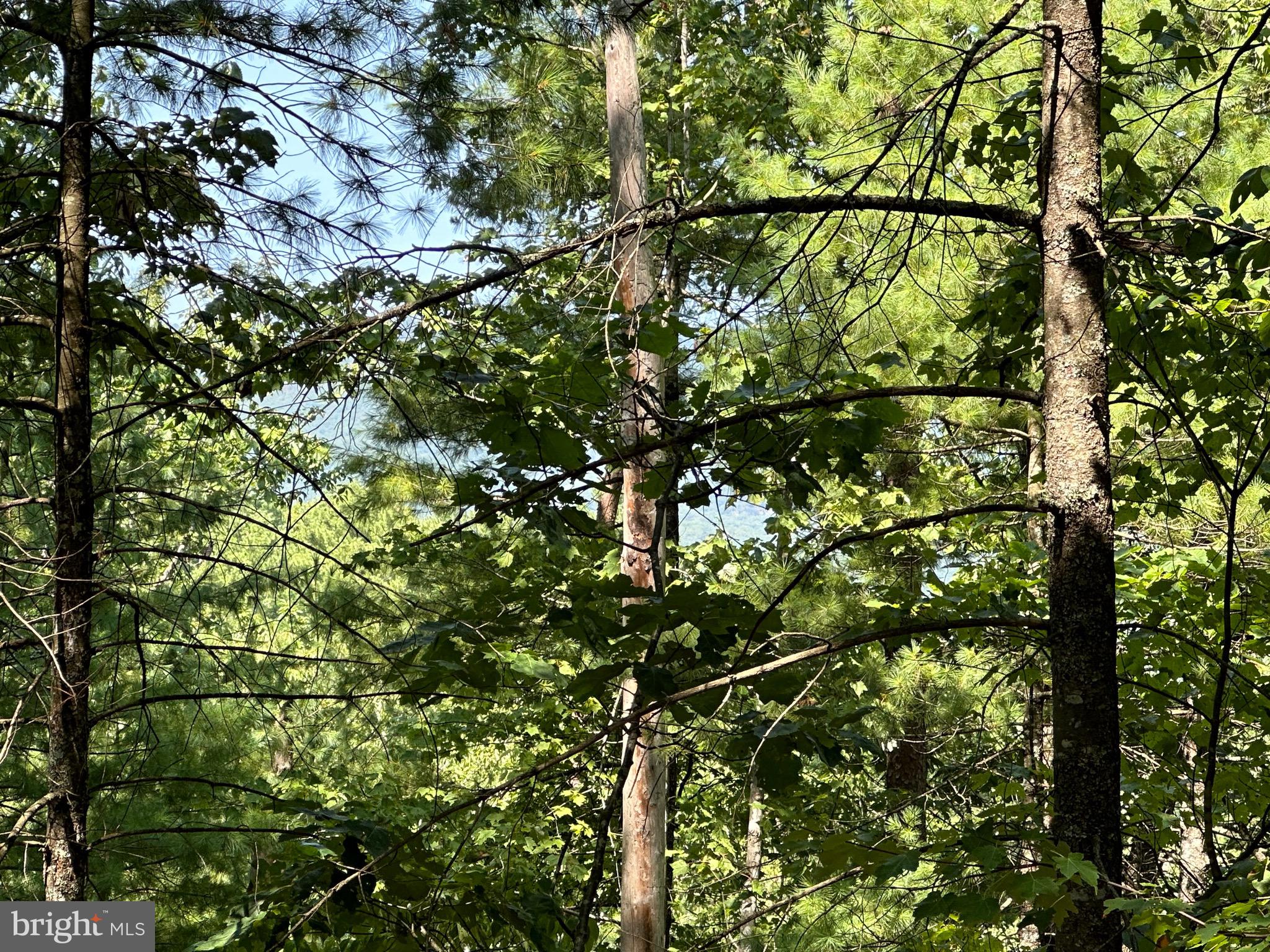 BRYCE  MOUNTAIN  RESORT - Land