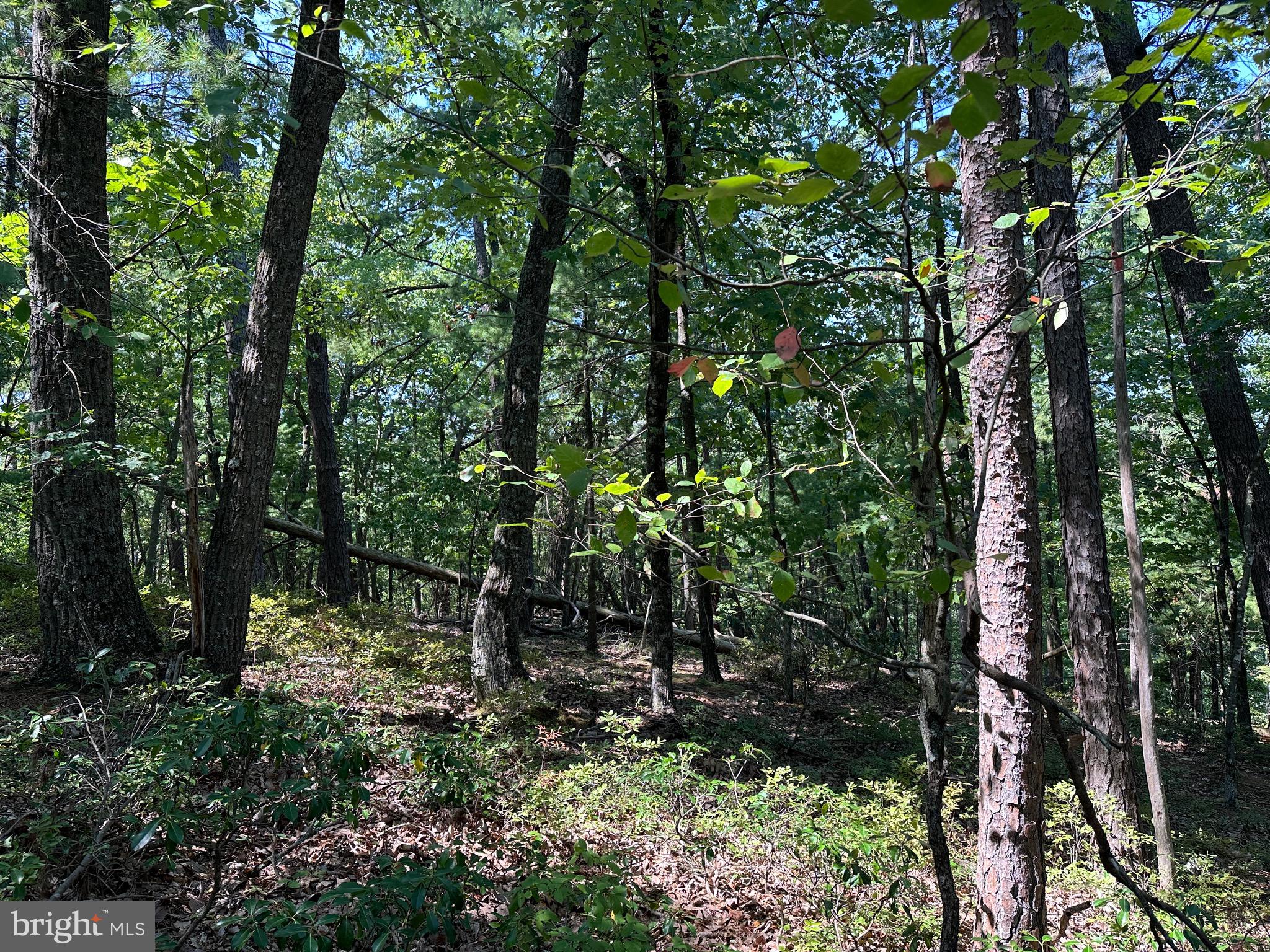 BRYCE  MOUNTAIN  RESORT - Land