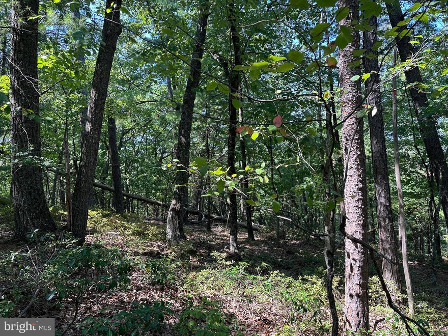 Beautiful building lot at Bryce Resort is nearly level and slopes slightly downhill at the back making for an easy build and the potential for a home with a basement.  At the back of this lot is lot 175 off of Fairway Dr.  If purchased together, there is plenty of room for a detached garage and outdoor living spaces.