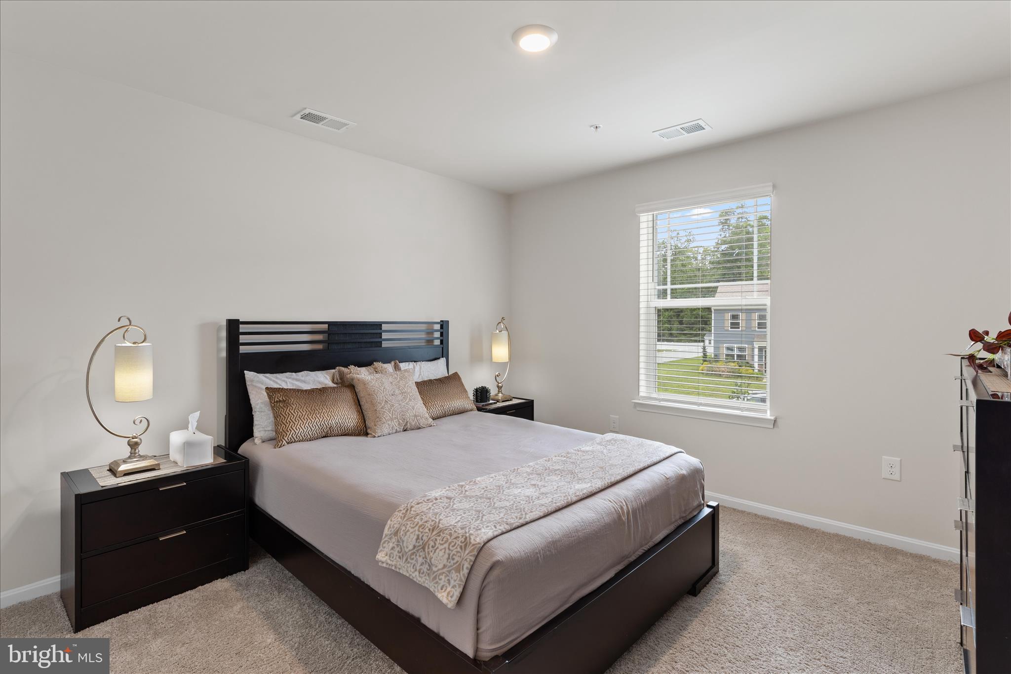 SASSAFRAS MEADOWS - Residential