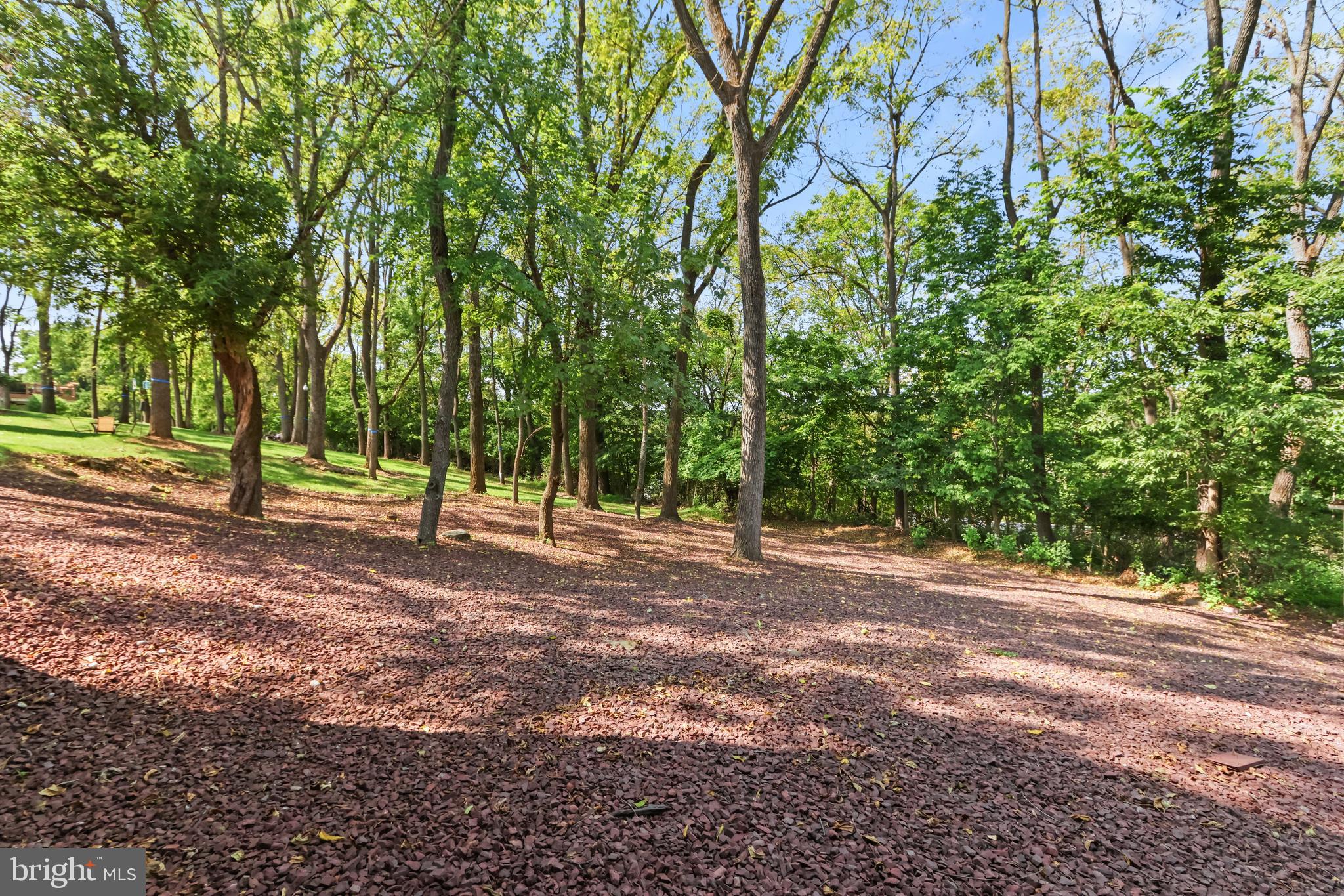 SYCAMORE HILLS - Residential